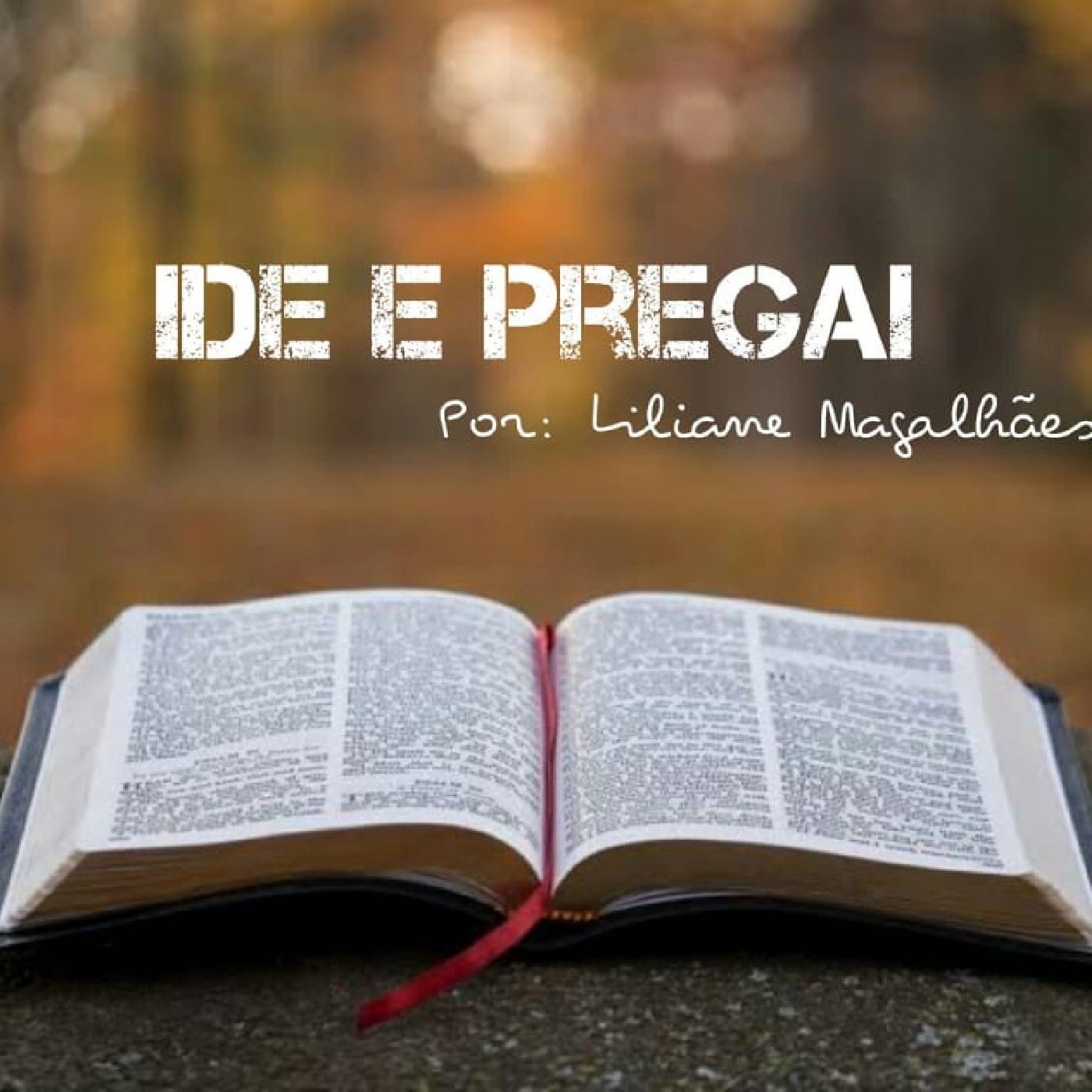 Ide e Pregai