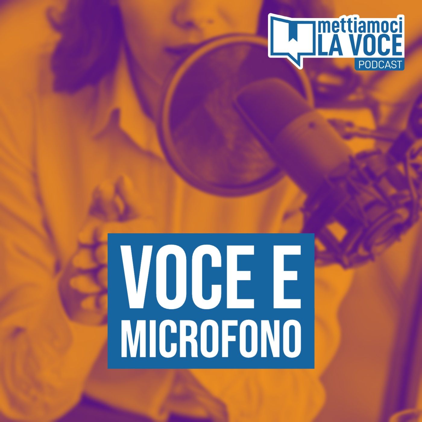 Voce e microfono