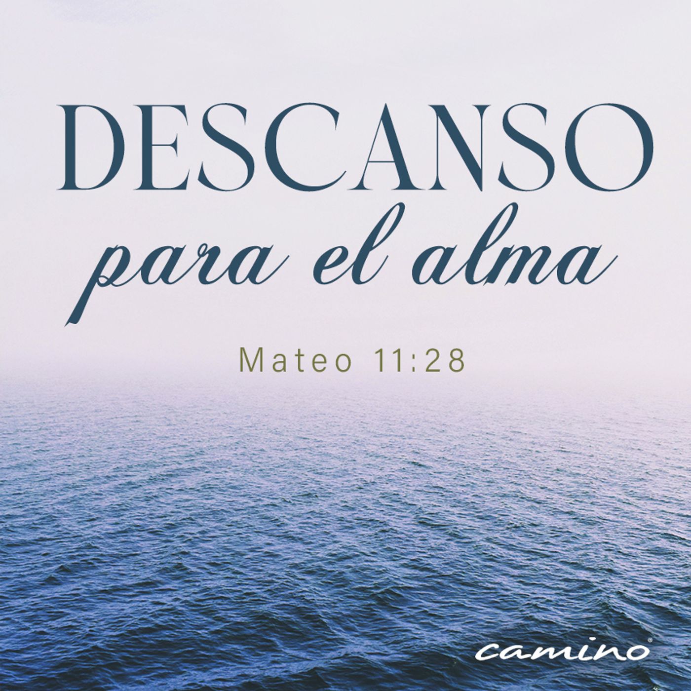 Oración 17 de noviembre  (Descanso para el alma) episode artwork