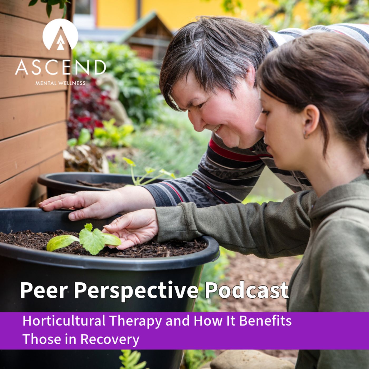Peer Perspective