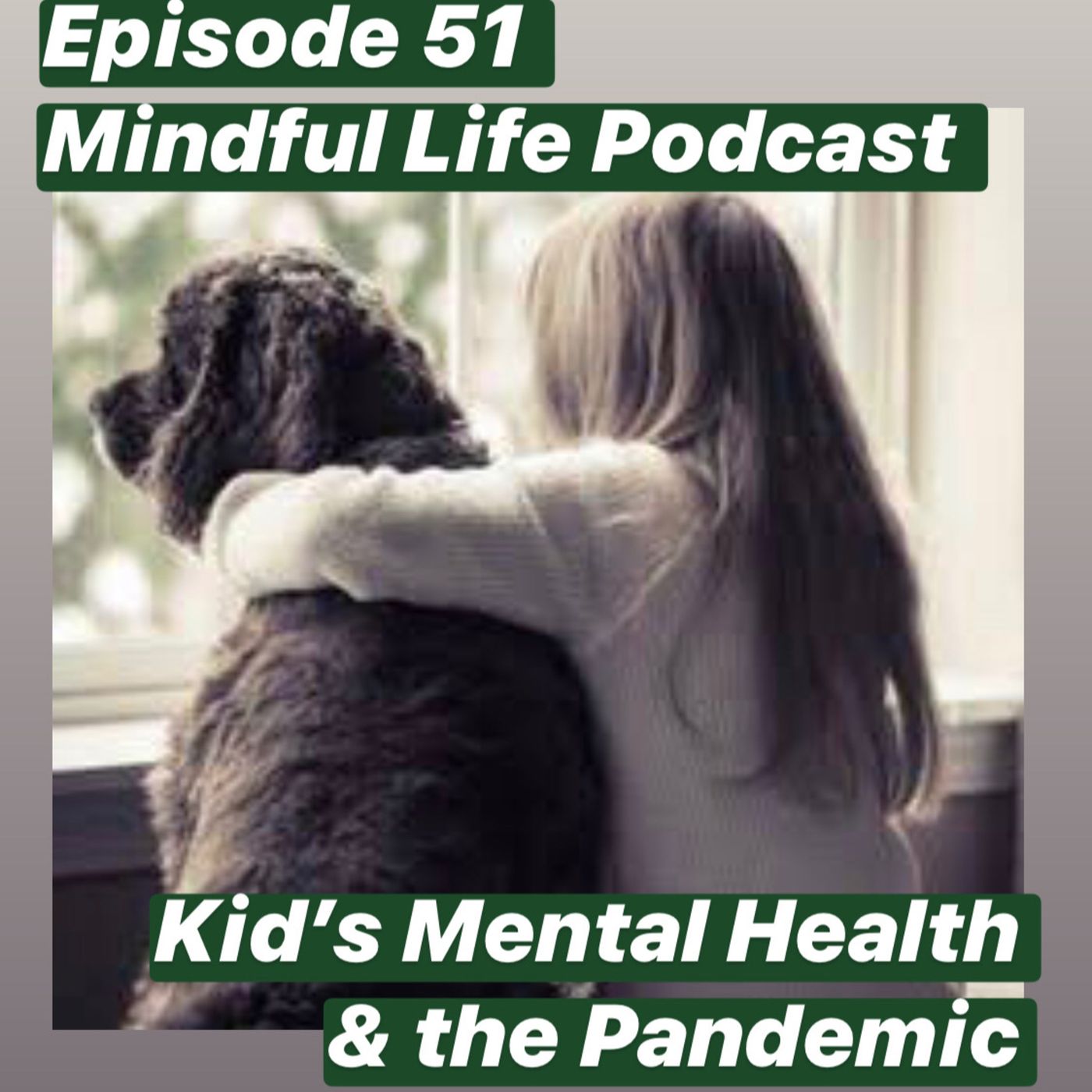 Mindful Life Podcast
