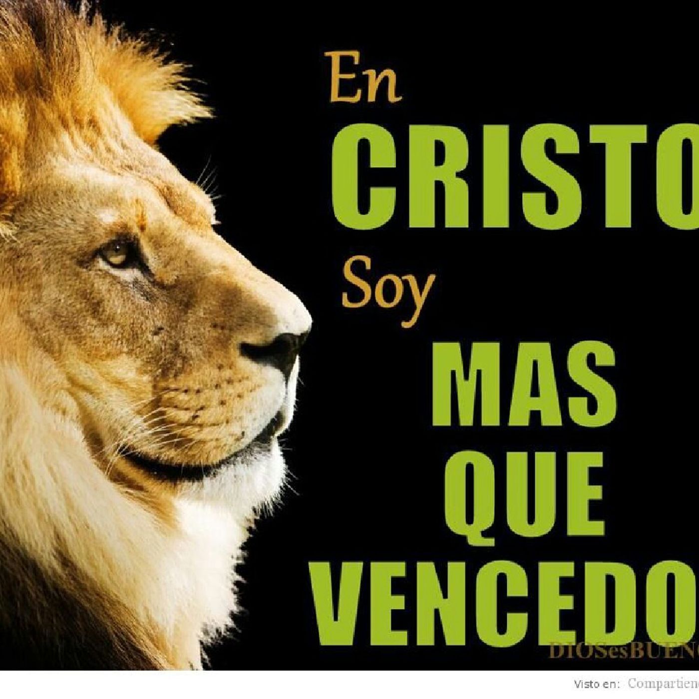 Creado Para Vencer's show