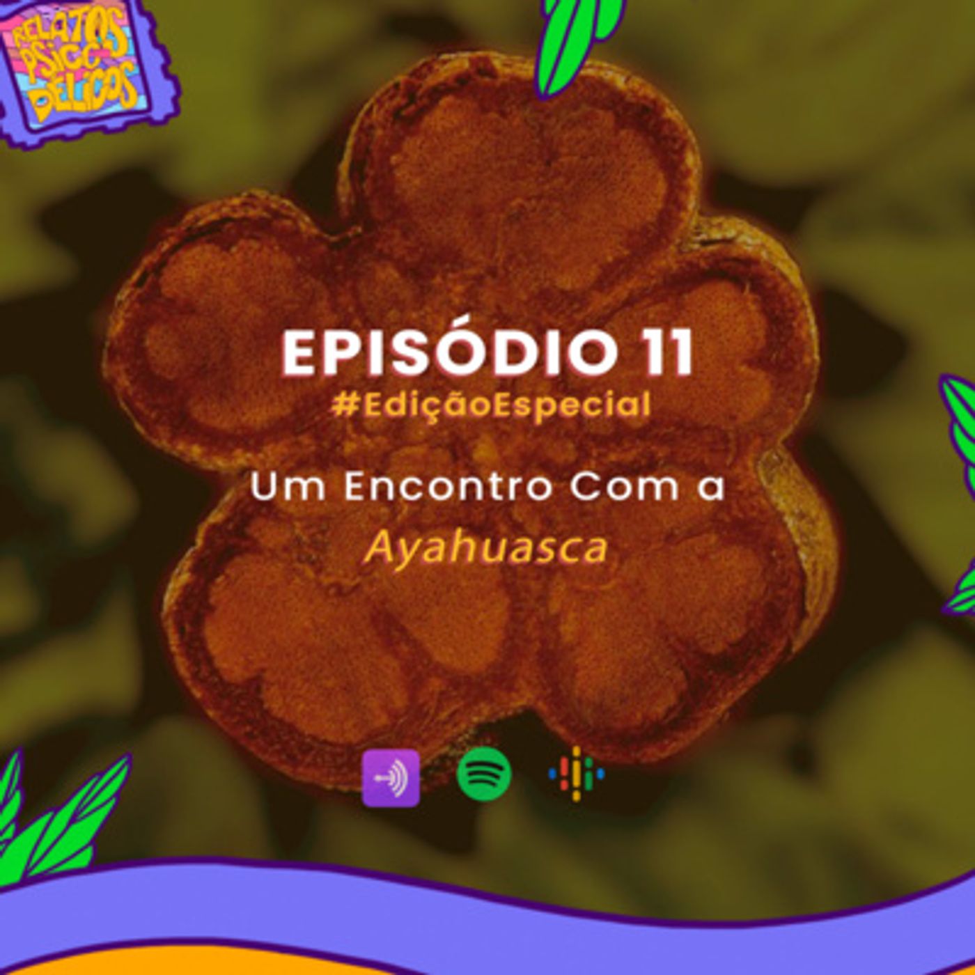 Relatos Psicodélicos