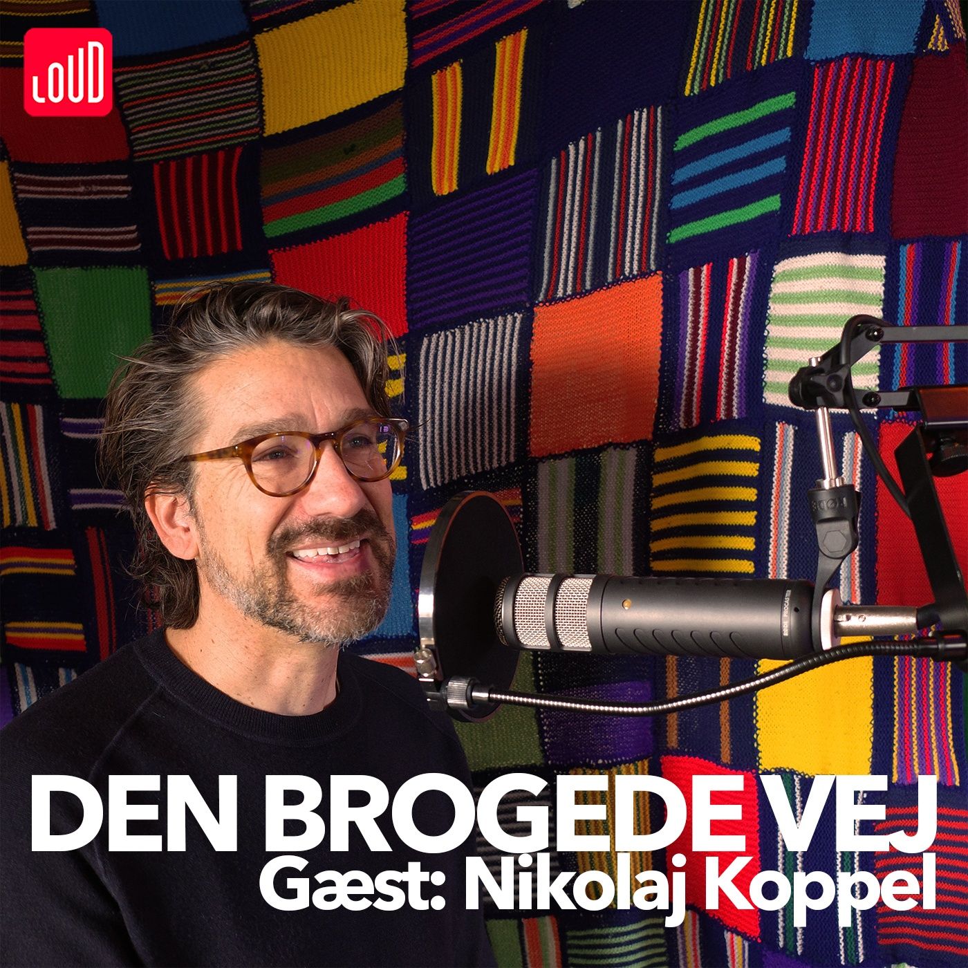 Den Brogede Vej
