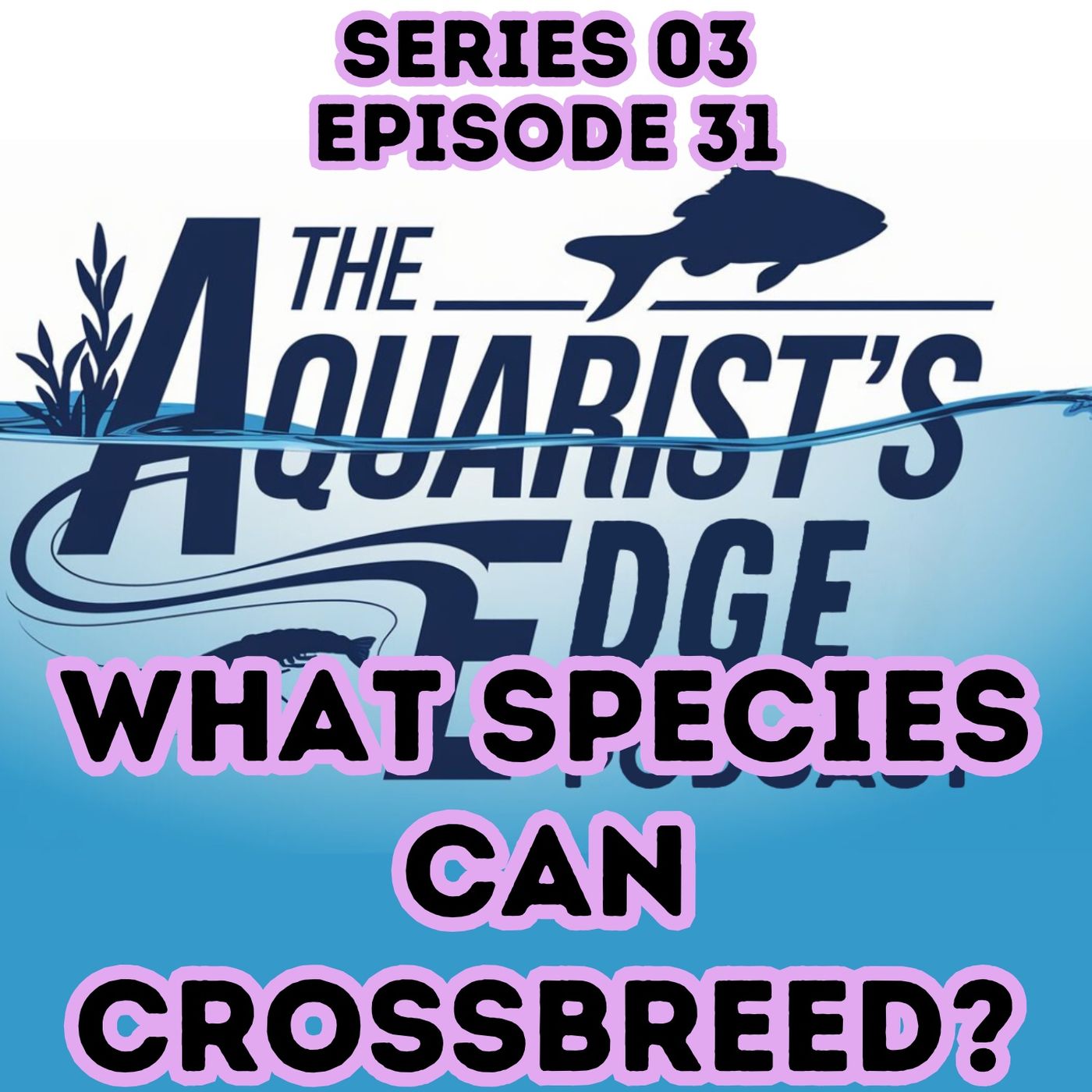 Cross-Breeding Aquarium Fish: What Actually Happens When Species Mix episode artwork