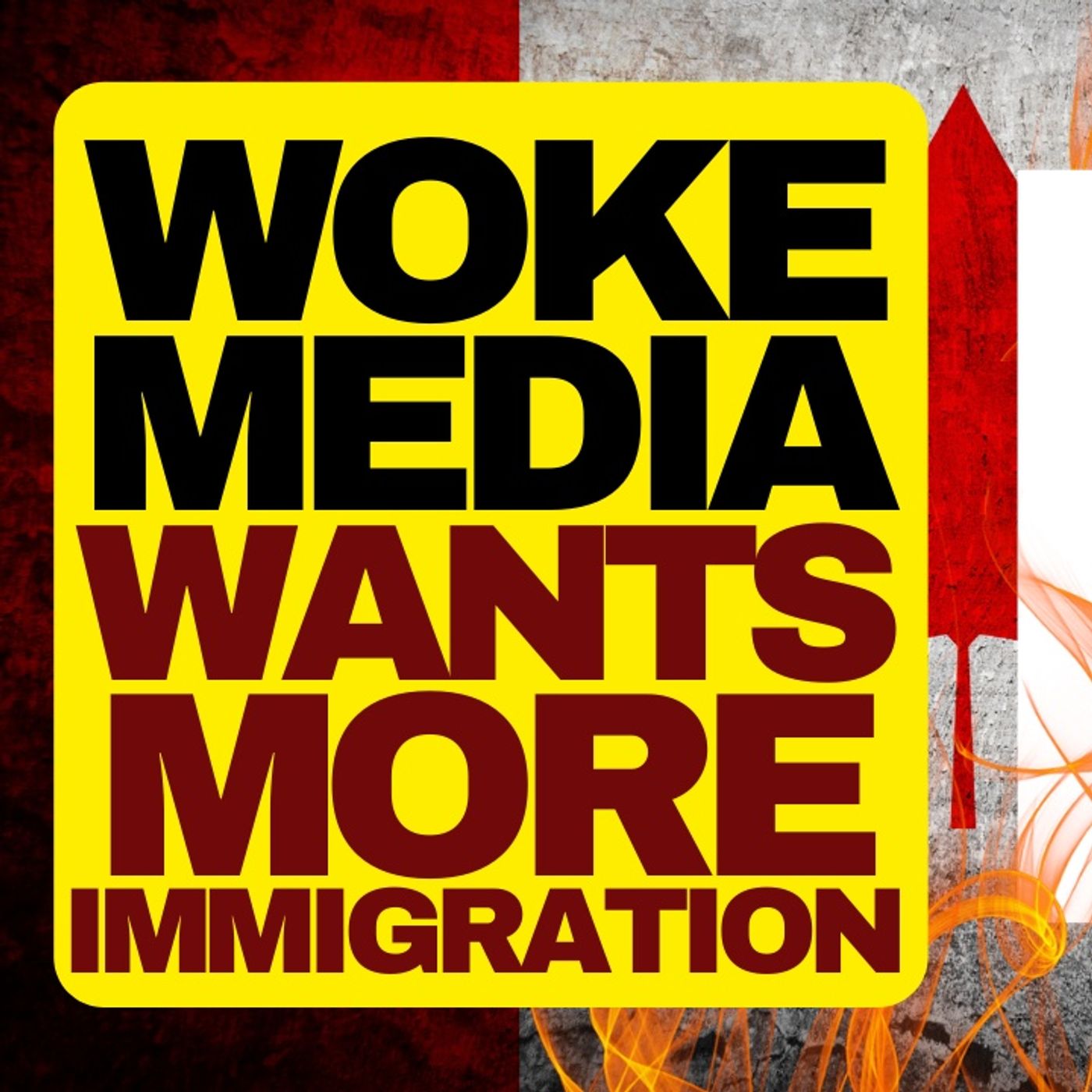 Woke Media Wants More Immigration episode artwork