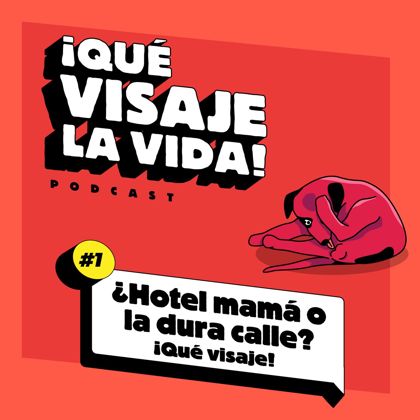 ¡Qué visaje la vida!