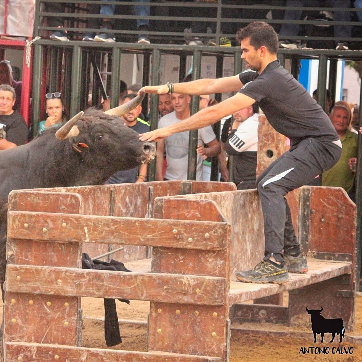 Hablemos de Toros