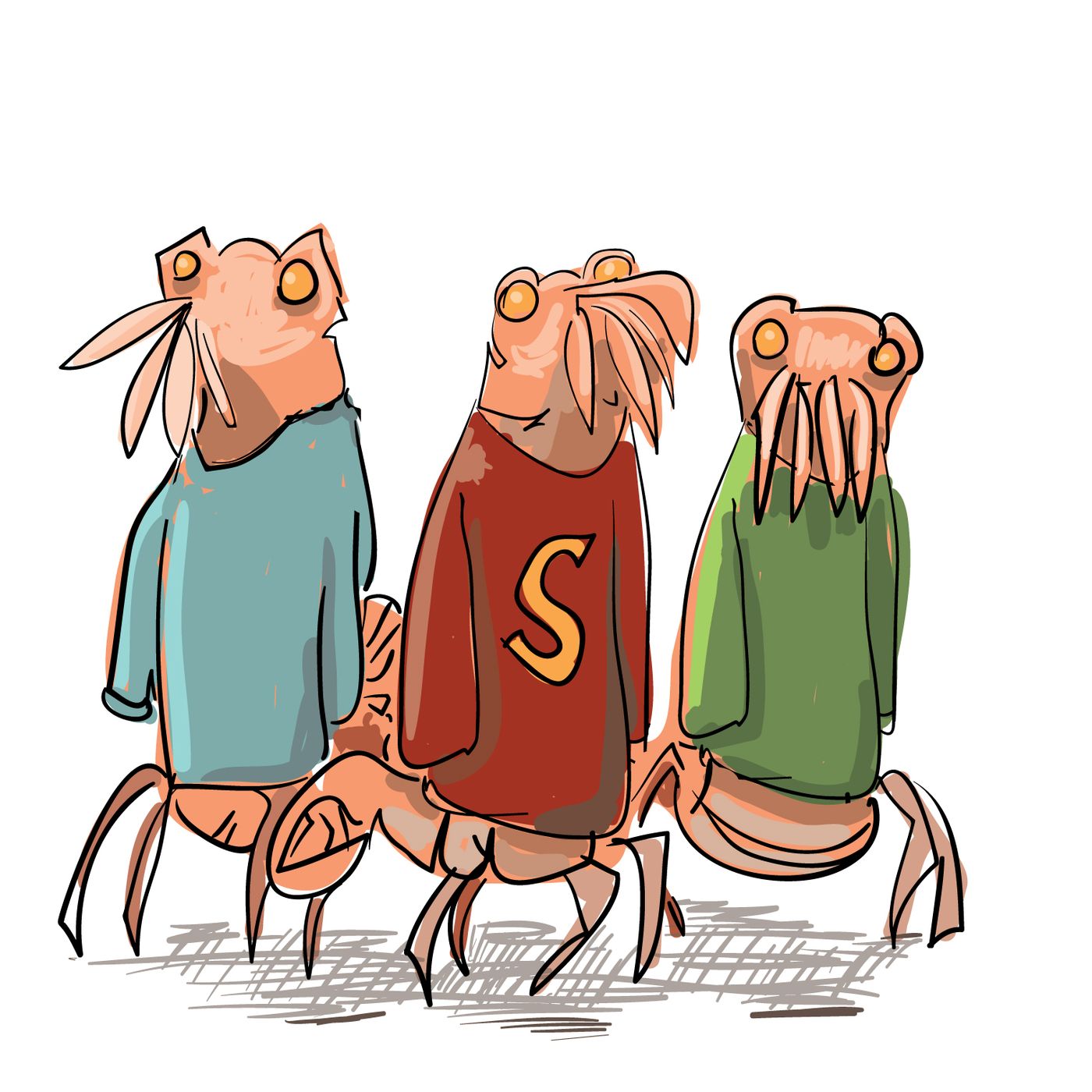 Episode 81: Gimme Some of Them Shrampees episode artwork