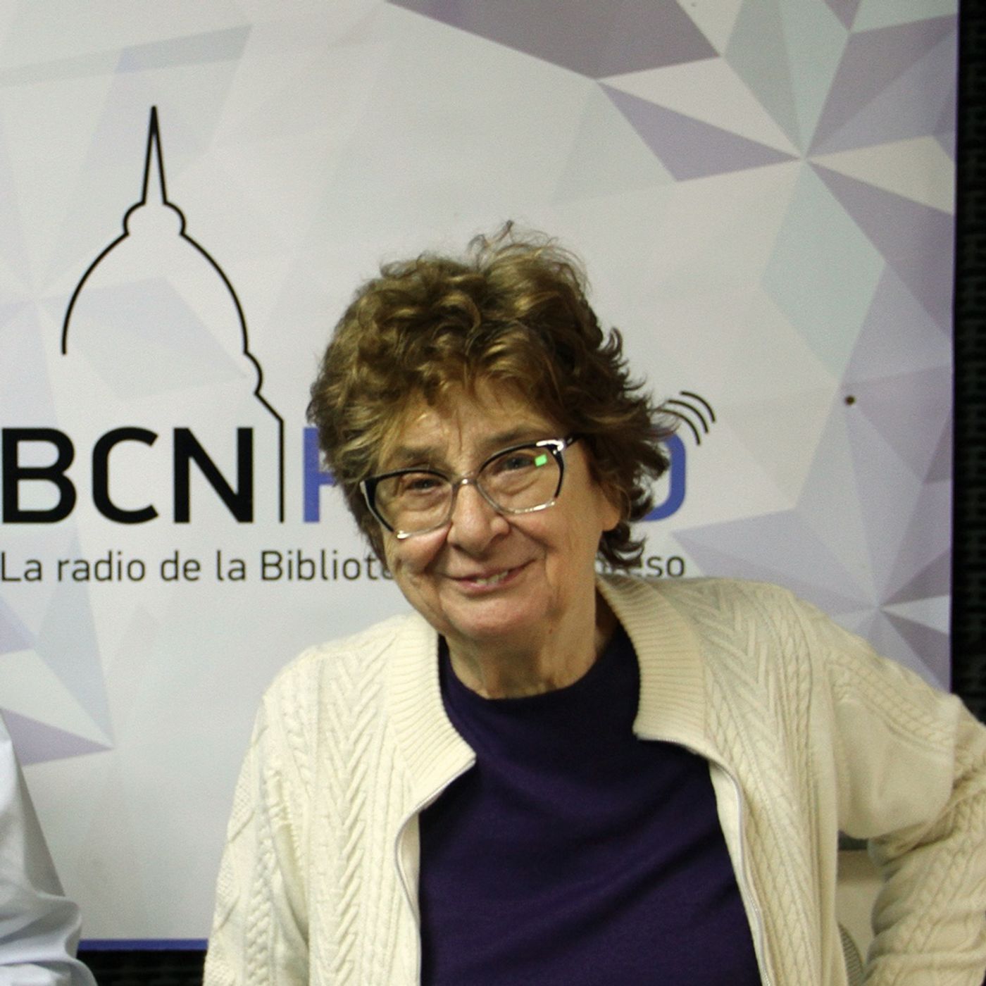 Días de Democracia
