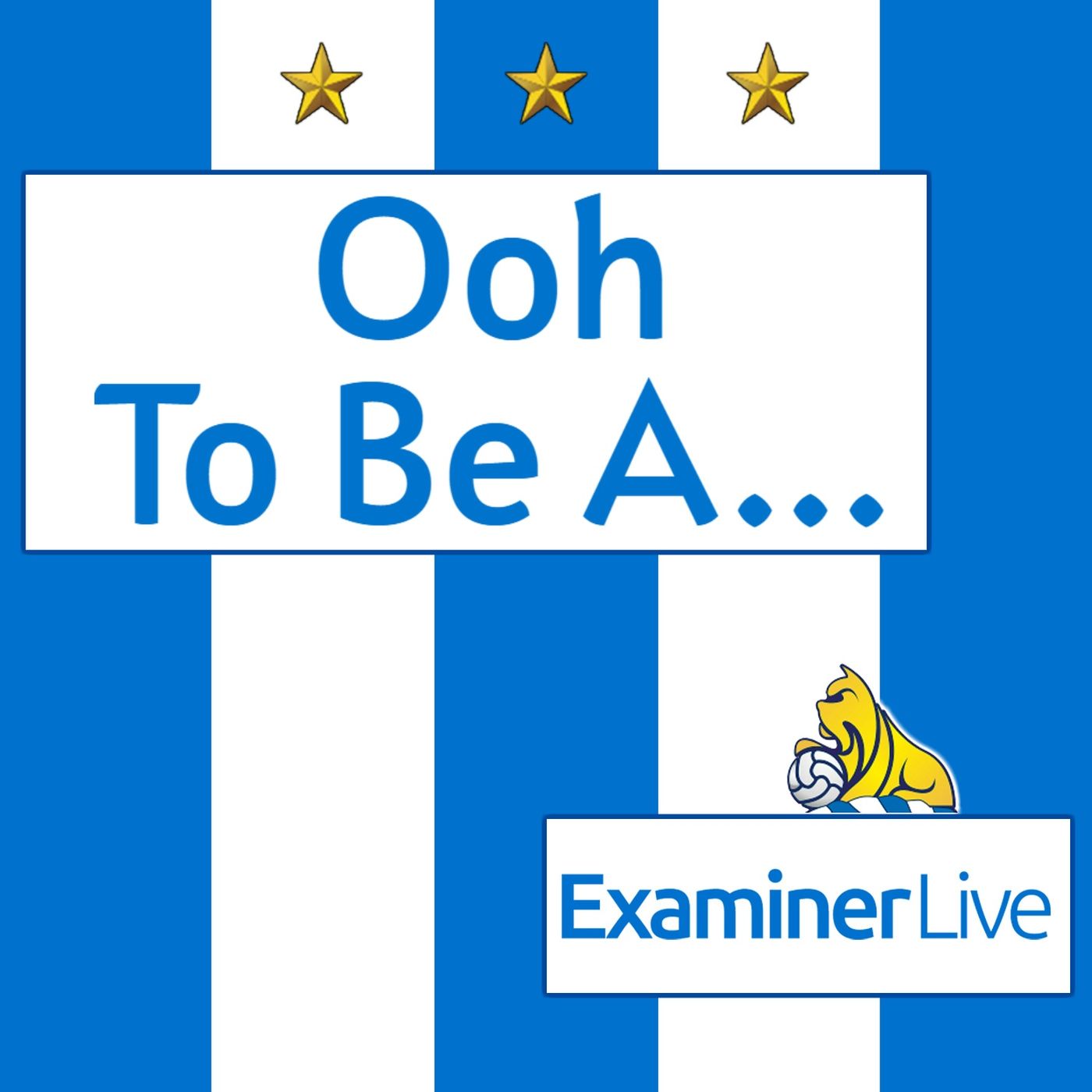 Ooh To Be A Terrier
