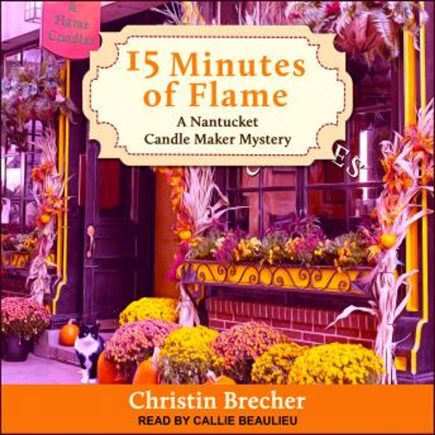 Best Audio Stories in Mystery, Thriller & Horror, Police & Detective