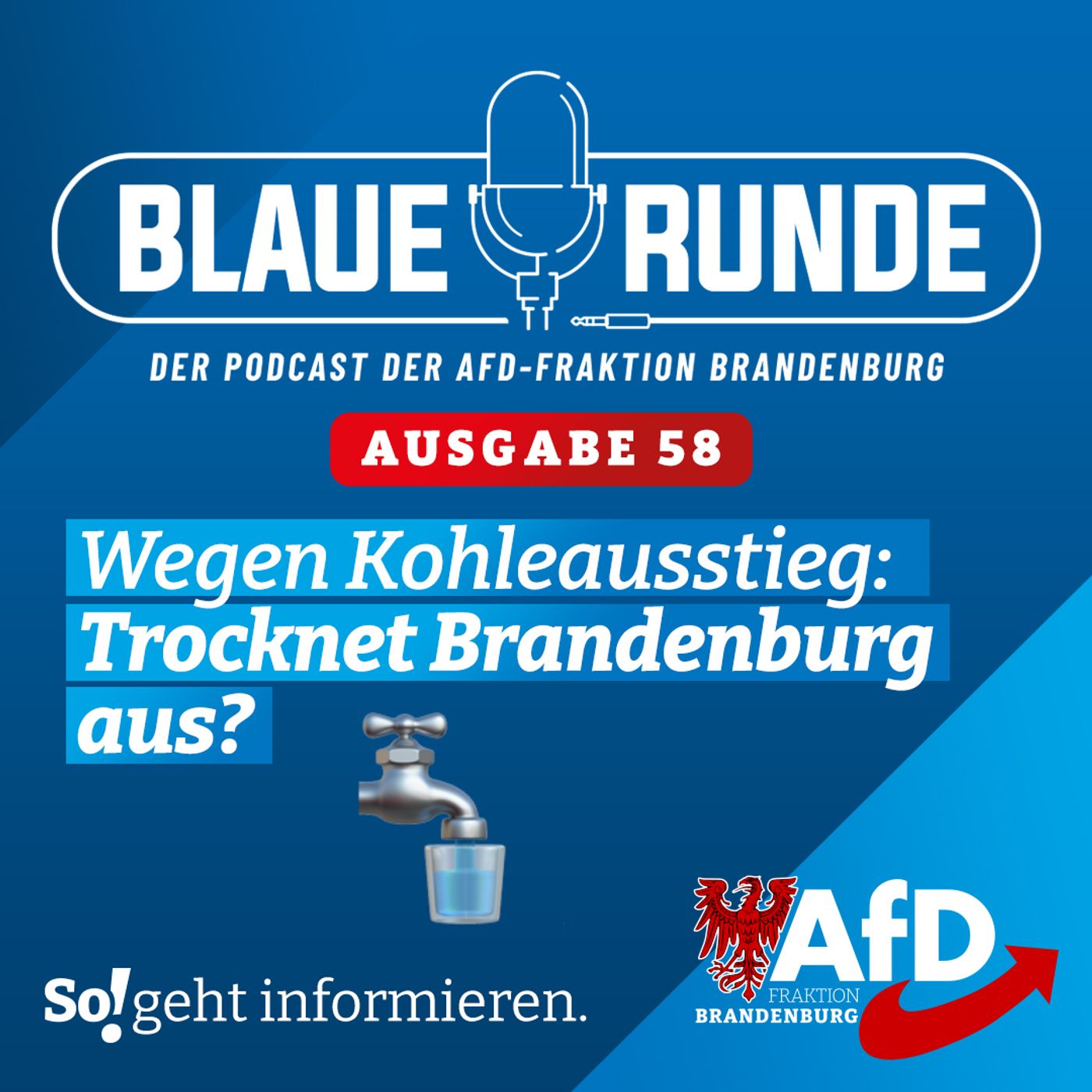Wegen Kohleausstieg: Trocknet Brandenburg aus? | Die Blaue Runde, Ausgabe 58/23 vom 15.06.2023 episode artwork