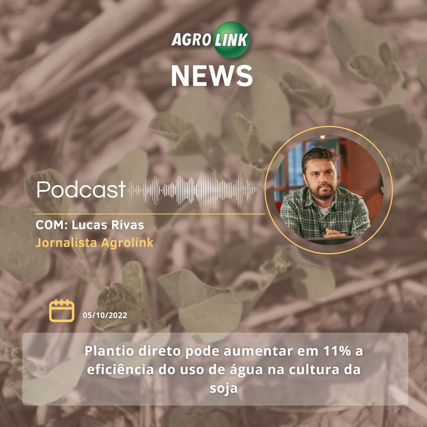 Movimentação portuária registra crescimento de 2,2% em julho episode artwork