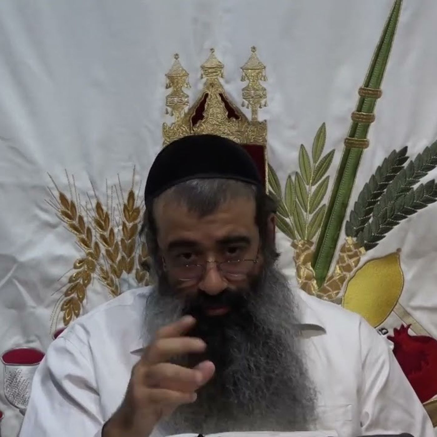 כוונת אחד היא בפרצופים - שיעור 14 | כוונת ה' אחד | אליו ולא למידותיו | הרב מאיר מועלם episode artwork
