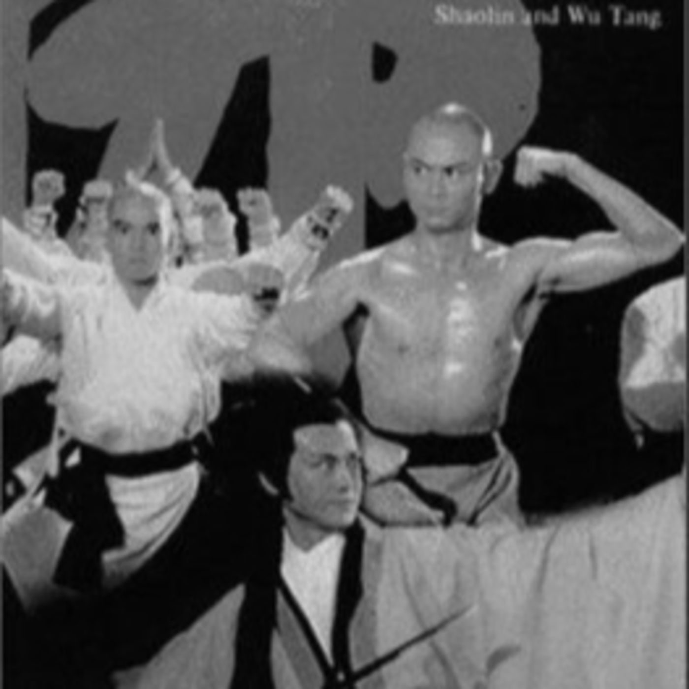 THE REAL WU-TANG VS. SHAOLIN - "WU-TANG MUTHAF_CKA!" episode artwork