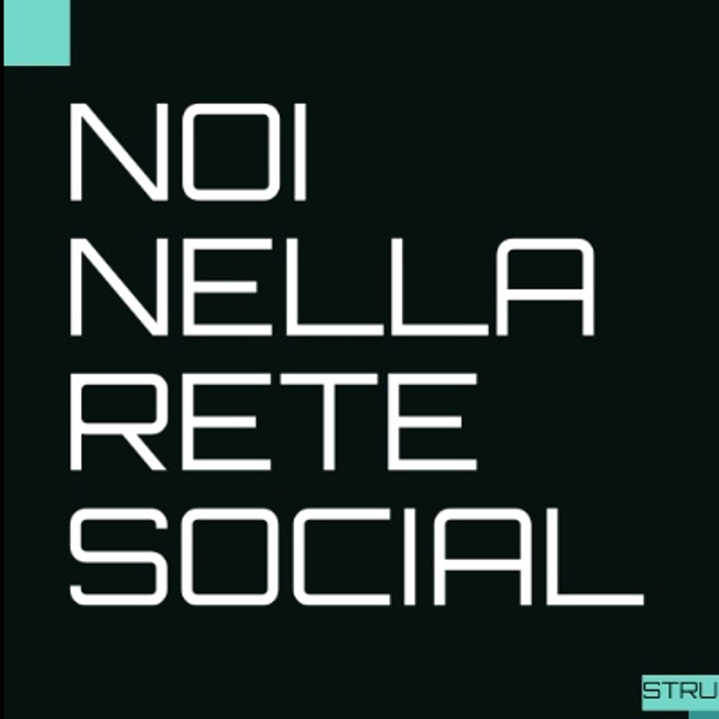 Noi nella rete social