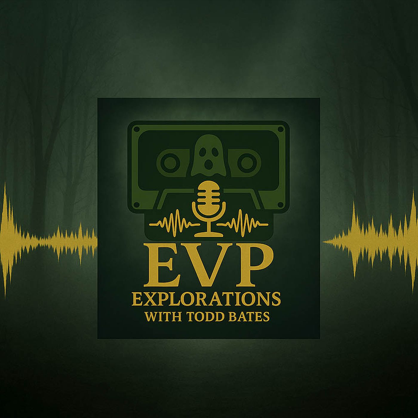 EVP Explorations