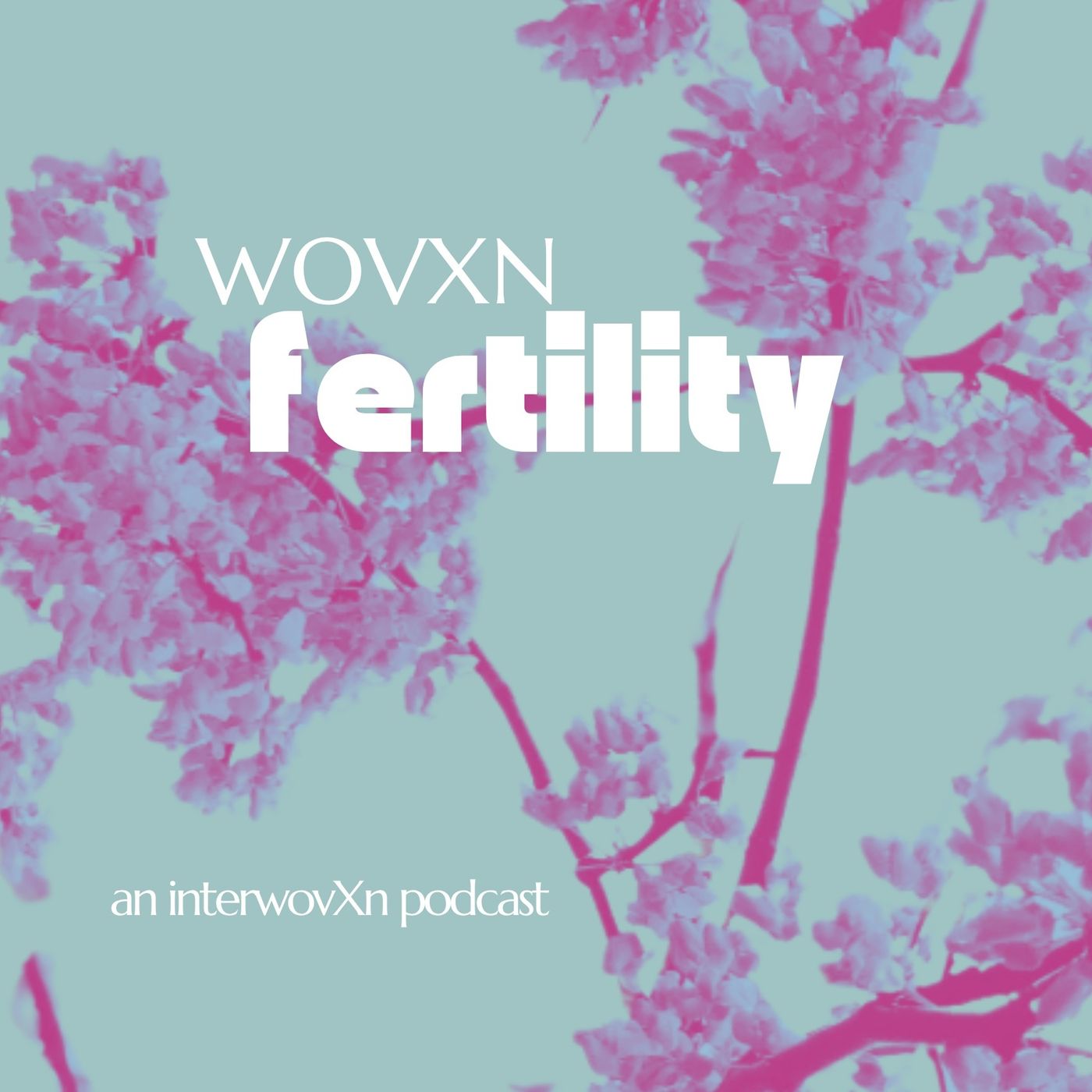 WOVXN Fertility: Men are Half of the Equation episode artwork