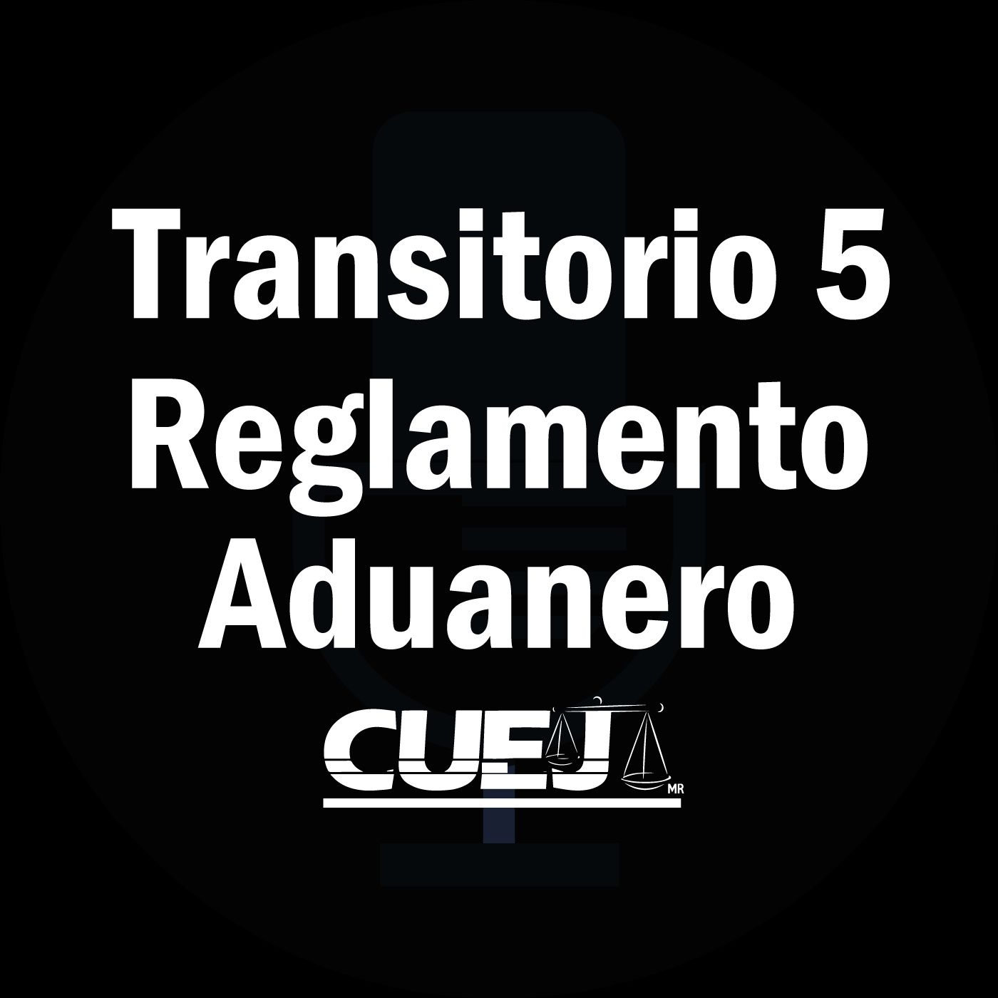 Reglamento de la ley aduanera