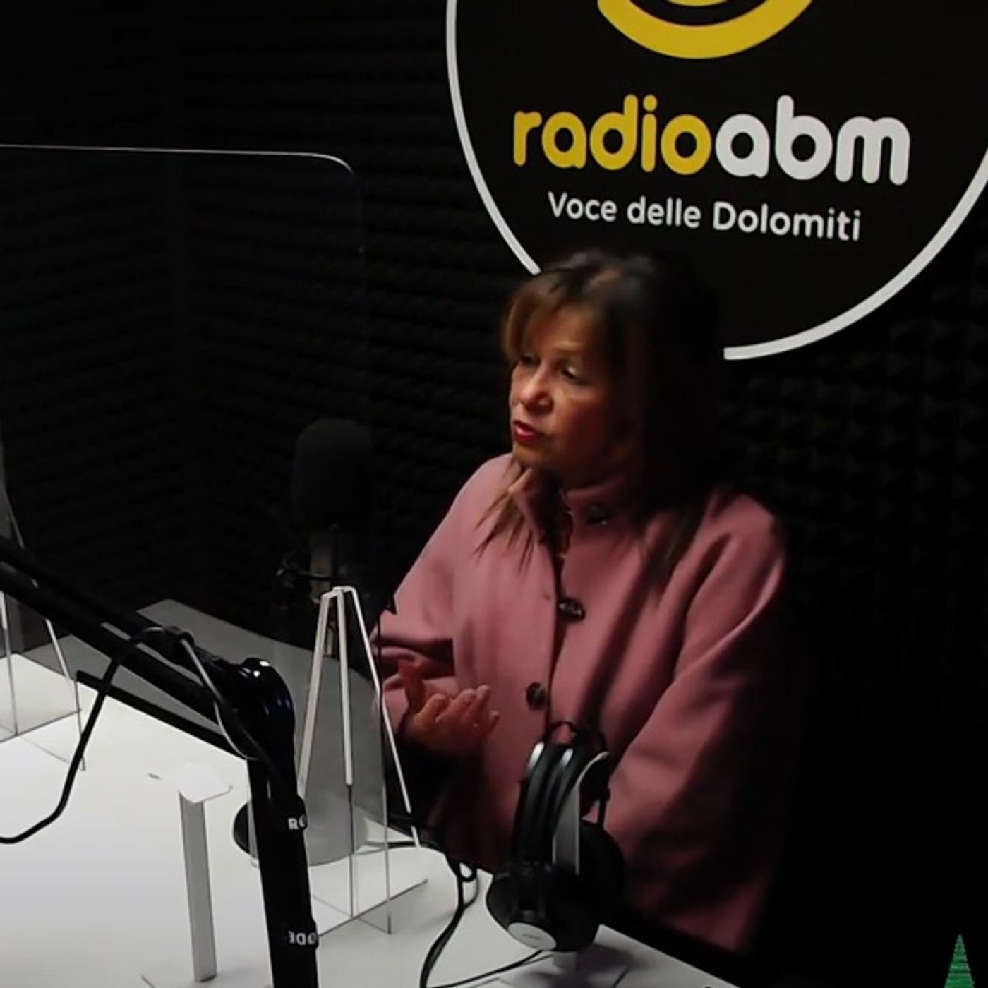 Ernestina dalla fine del mondo - intervista a Laura Palacios, Associazione Ecuadoriane a Belluno episode artwork
