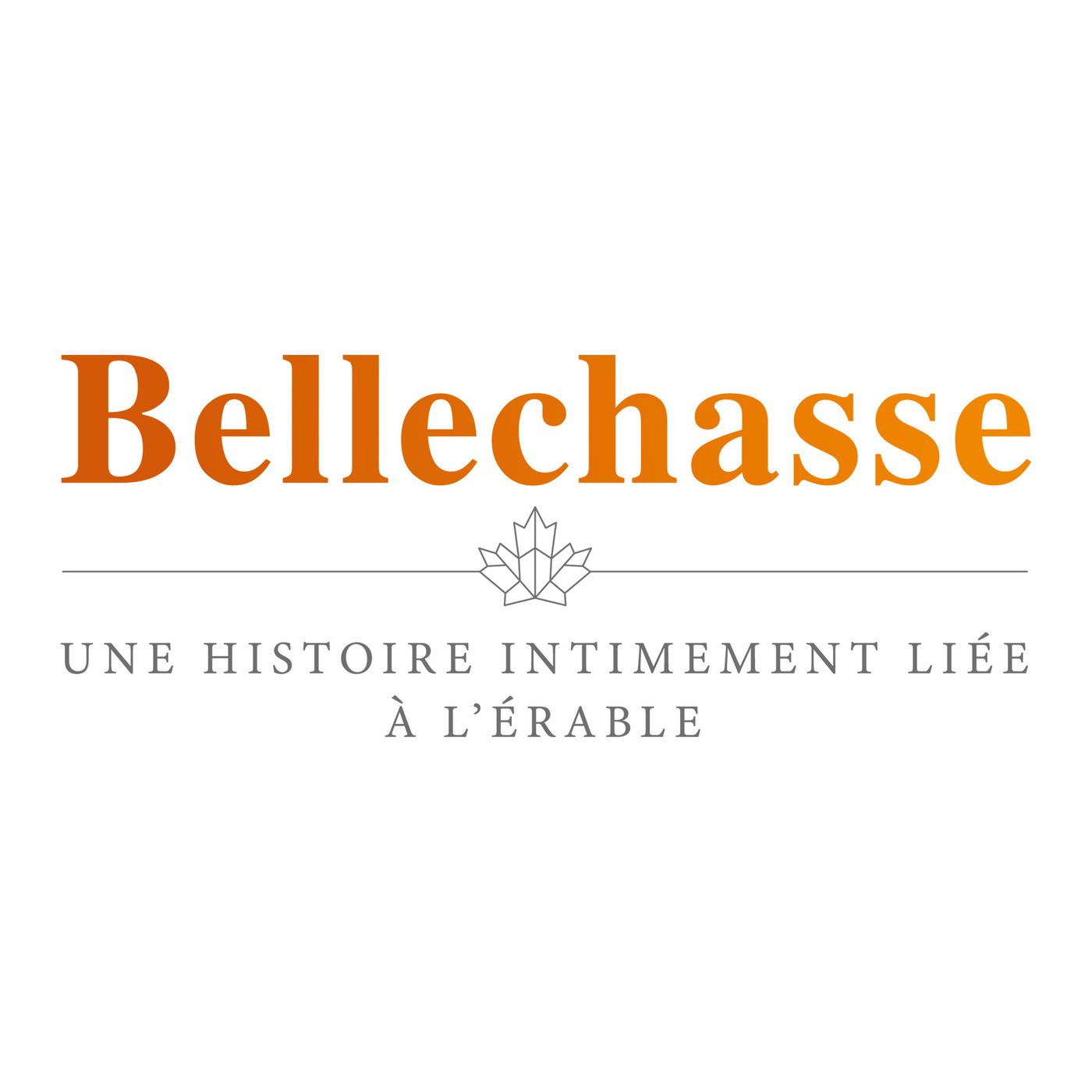 Bellechasse, une histoire intimement liée à l’érable