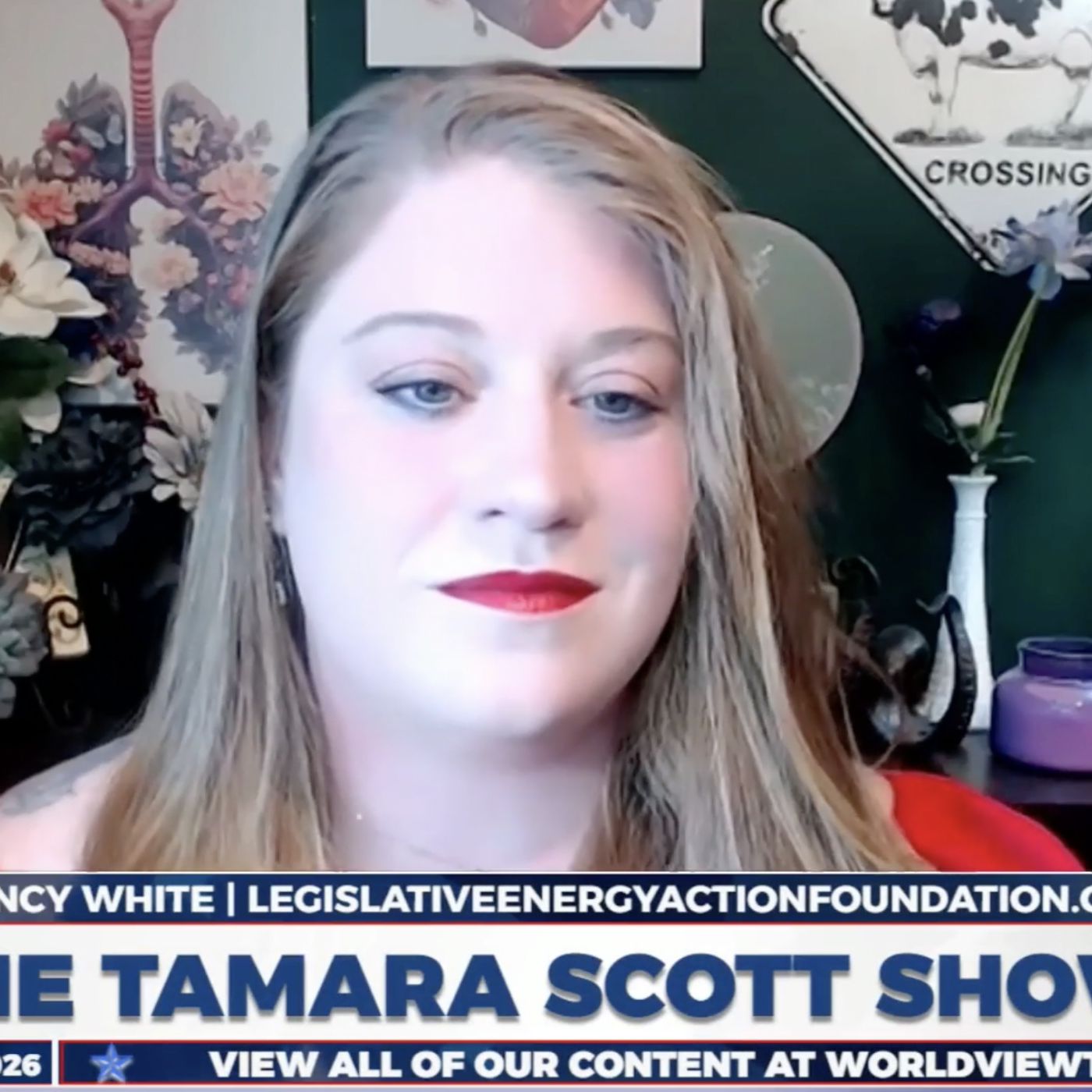 A National Security Time Bomb: Chinese-Controlled Batteries on U.S. Farmland