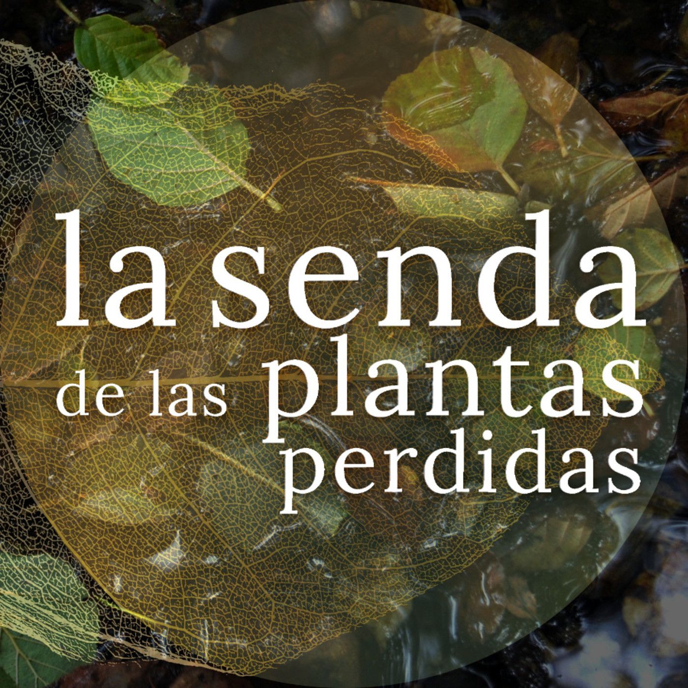 La Senda de las Plantas Perdidas