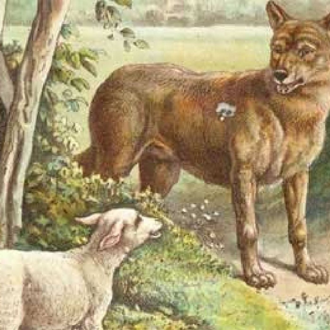 O Lobo e o Cordeiro episode artwork