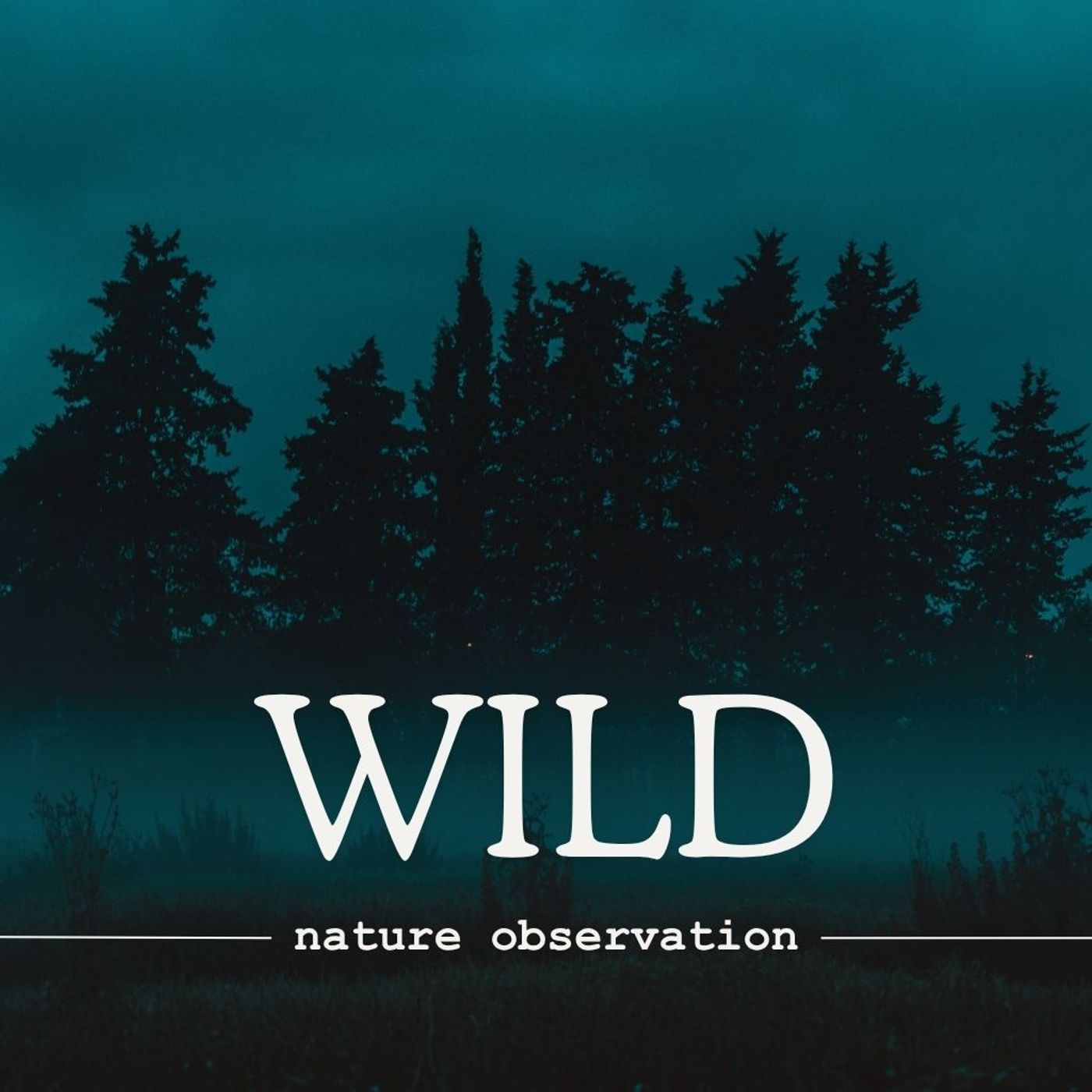 Wild Nature Observation