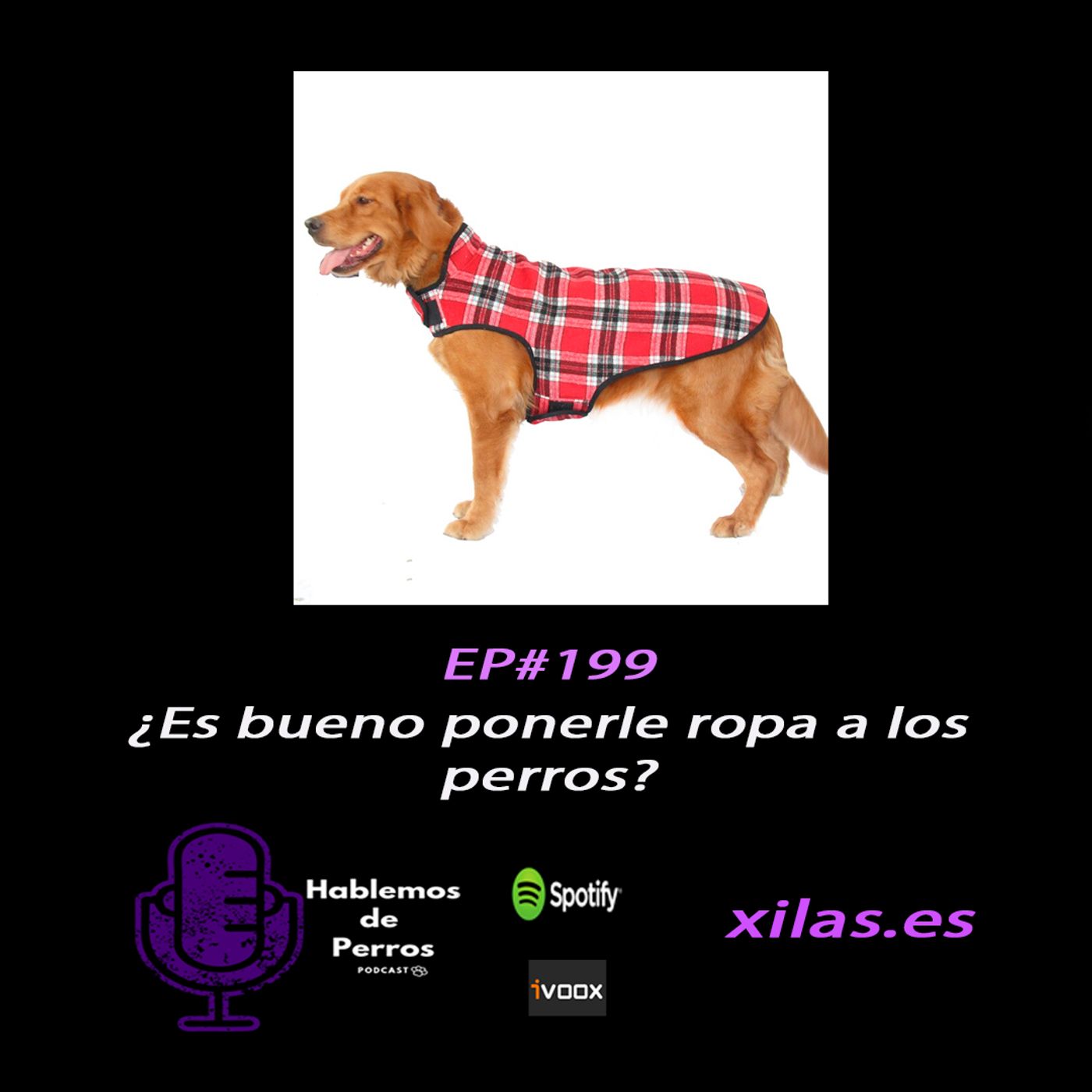 Hablemos de perros