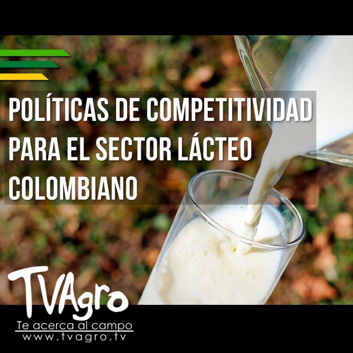 TV AGRO