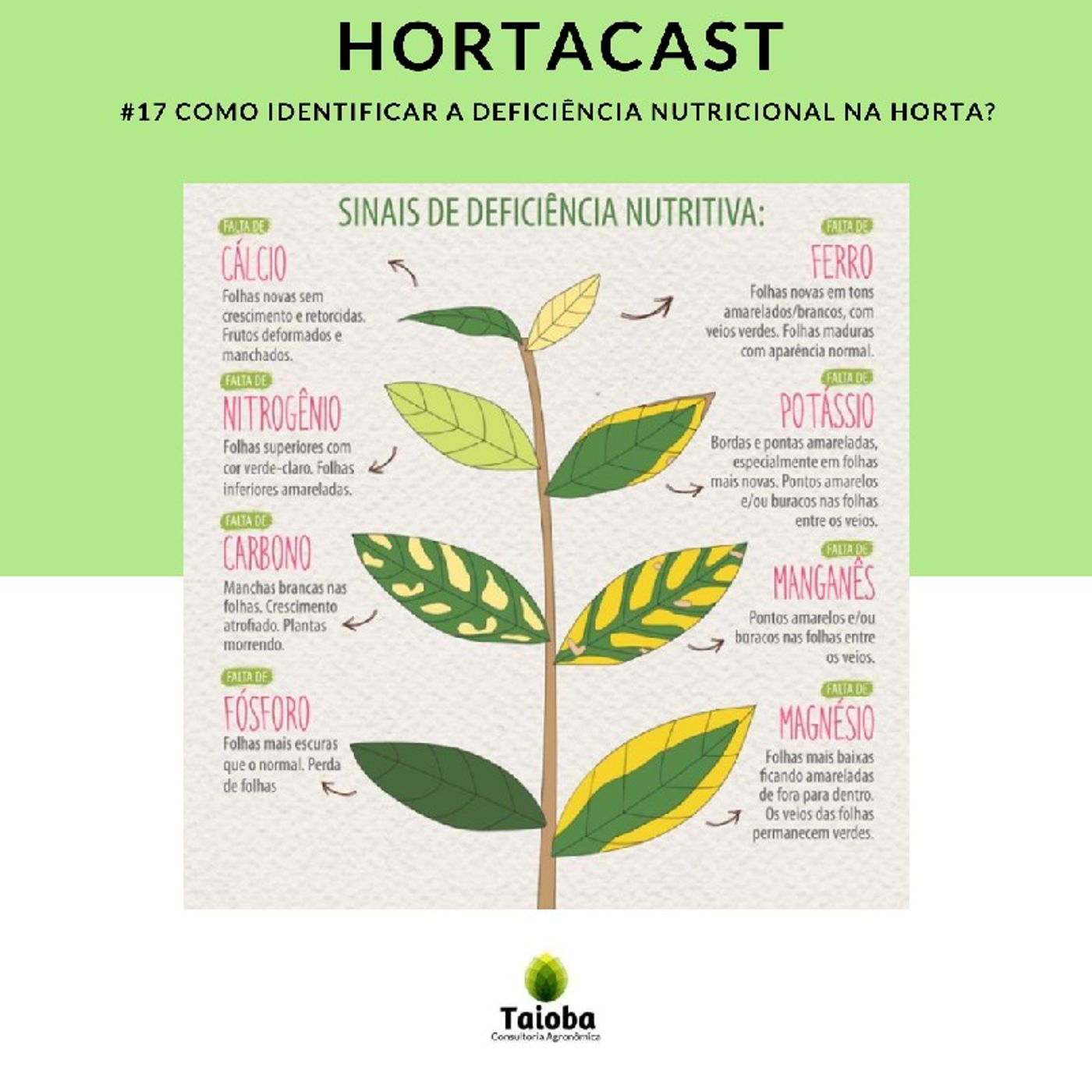 HortaCast\'s show