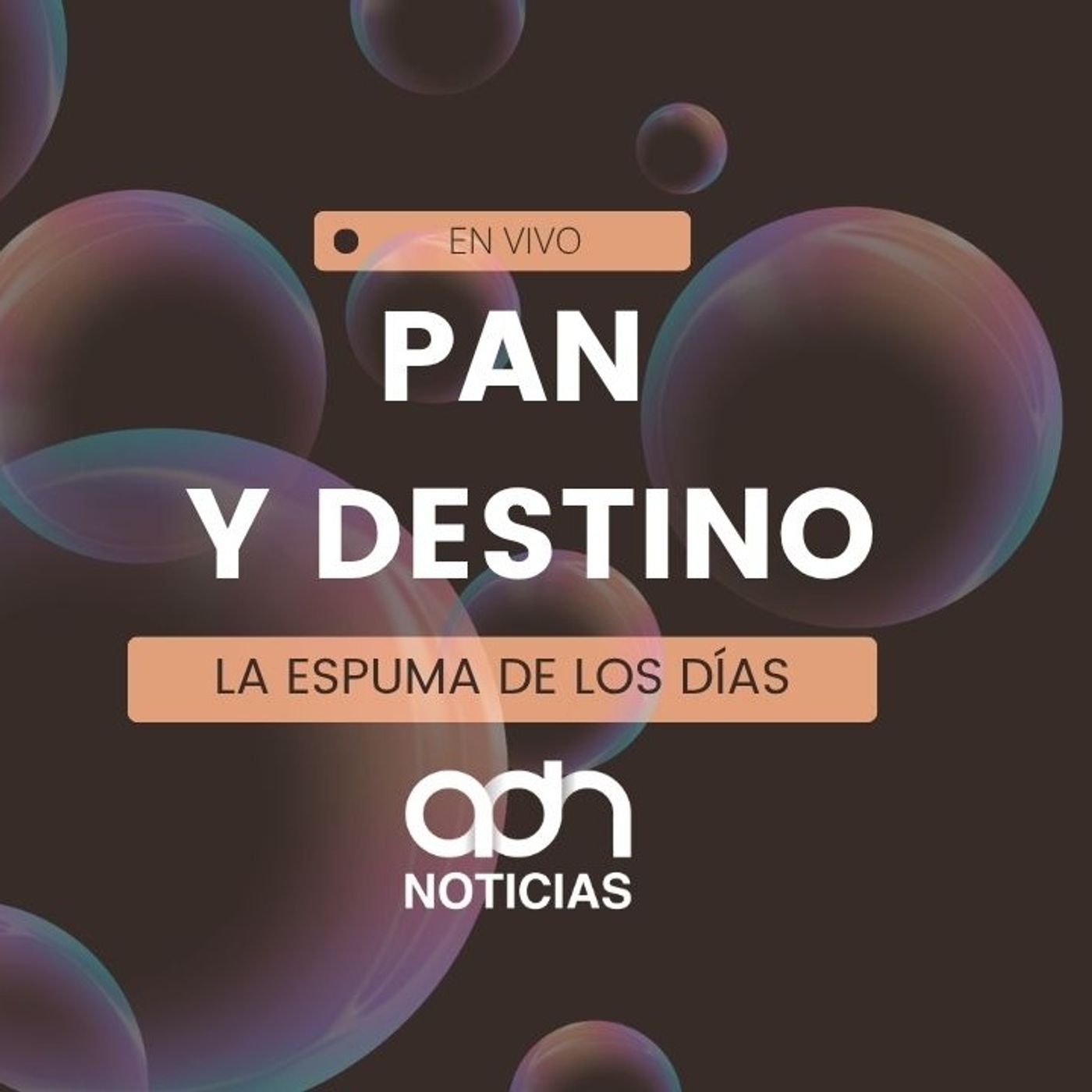 De músico a panadero y hoy hace el mejor panettone De músico a panadero y hoy hace el mejor panettone