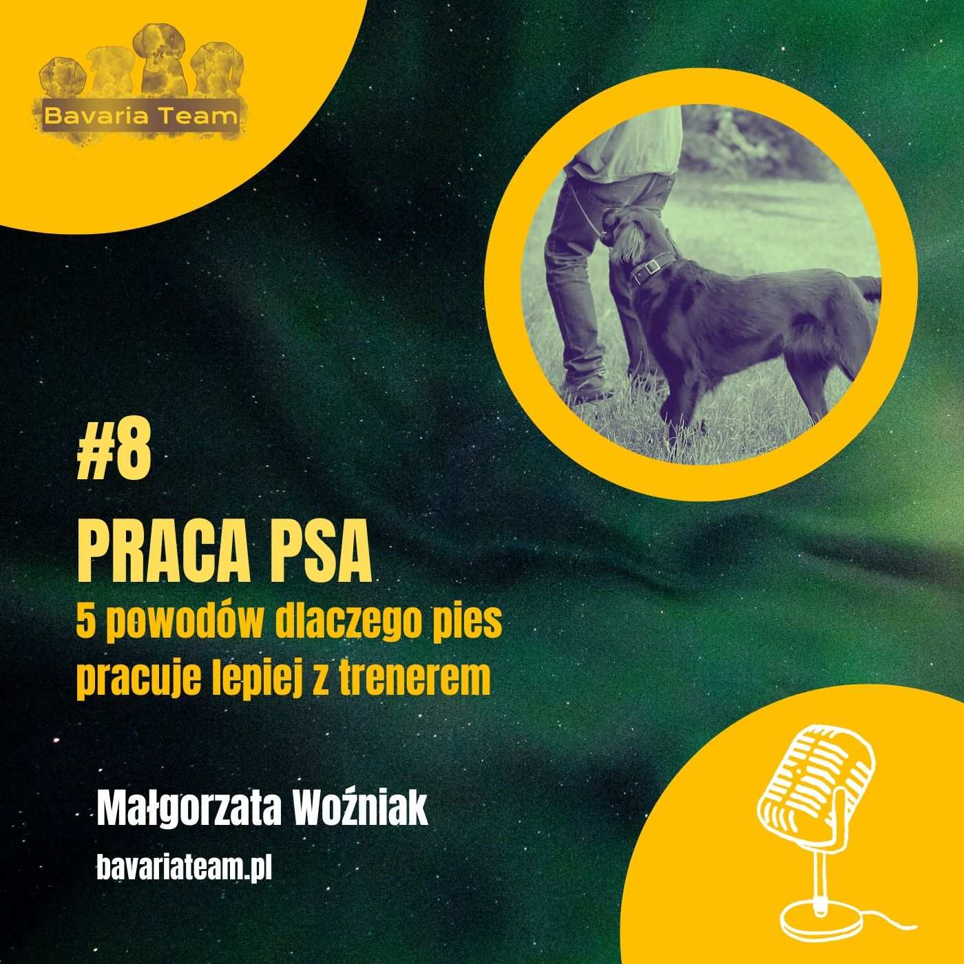 #8. 5 powodów dlaczego psy lepiej pracują z trenerem i ... jak to zmienić! episode artwork