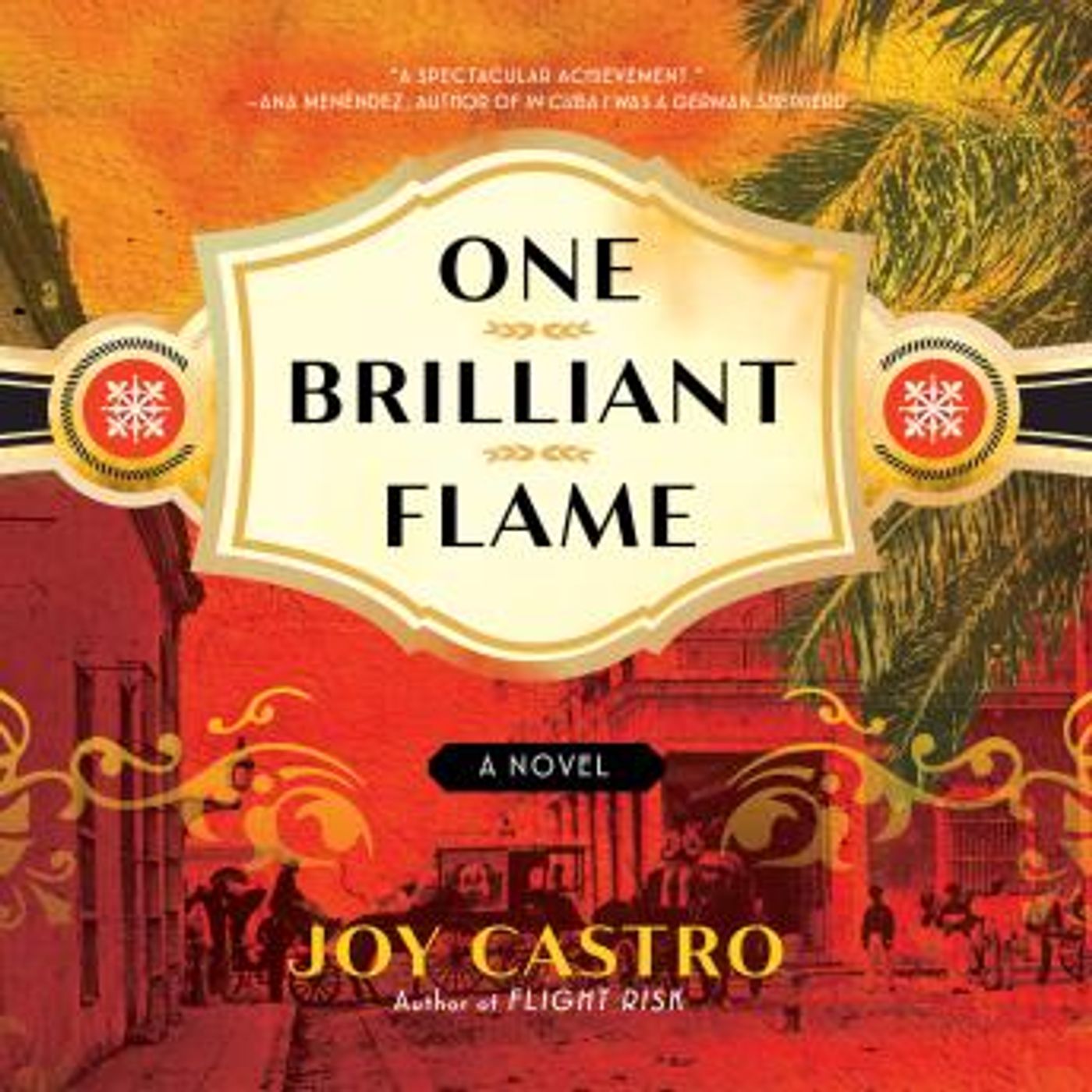 One Brilliant Flame: A Novel by Joy Castro episode artwork