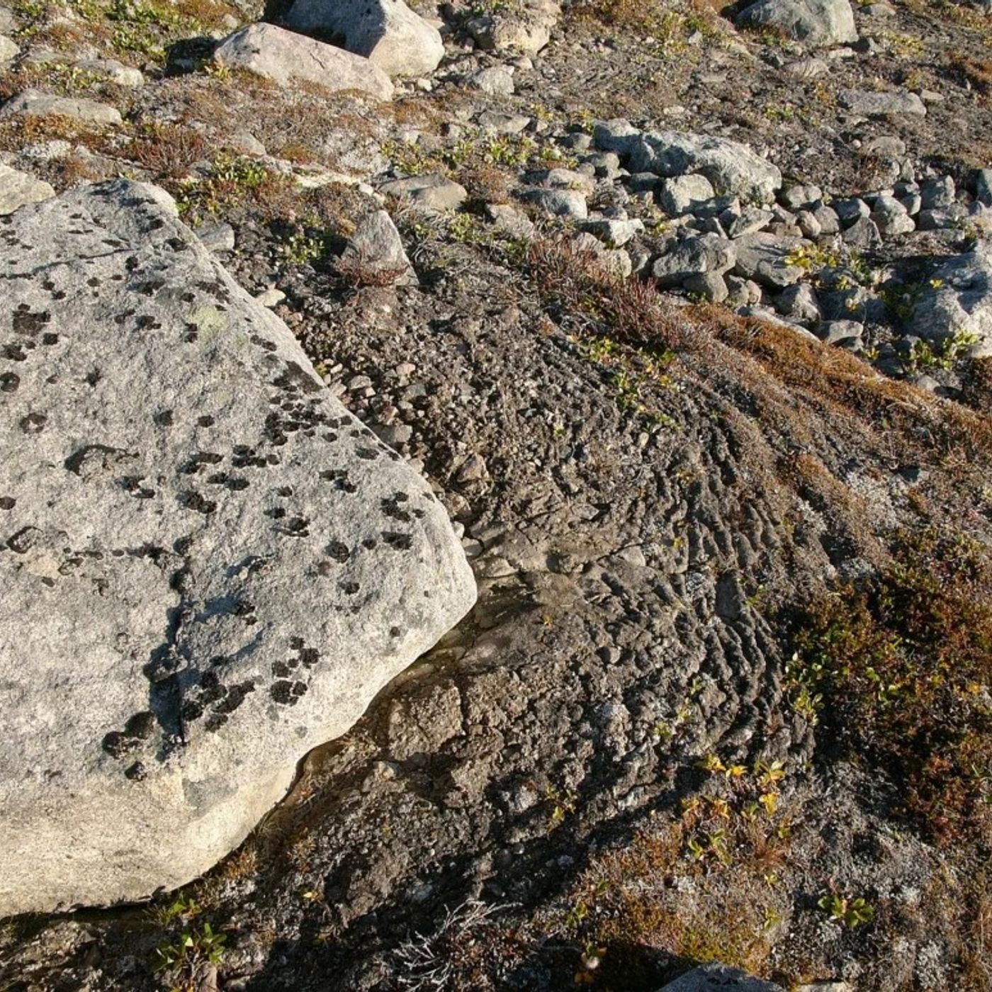 Un fluido potrebbe spiegare il mistero delle terrazze del permafrost episode artwork