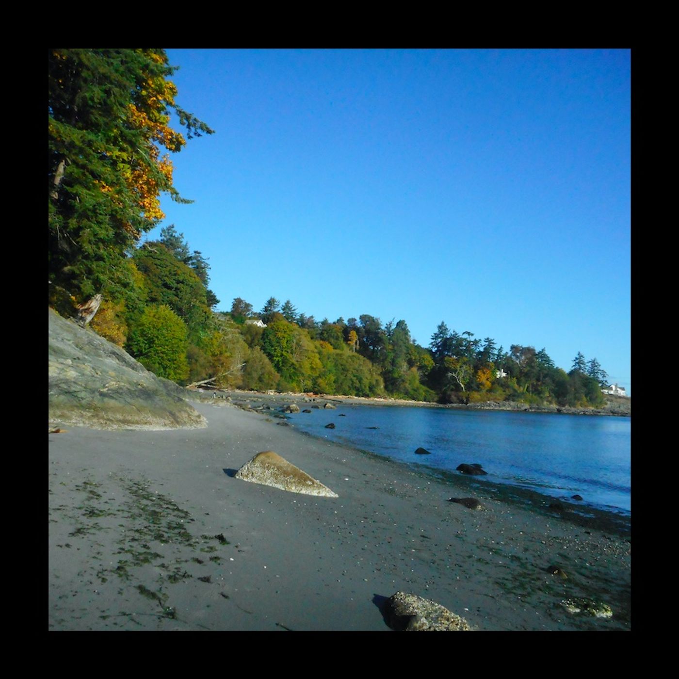 Beach Walk