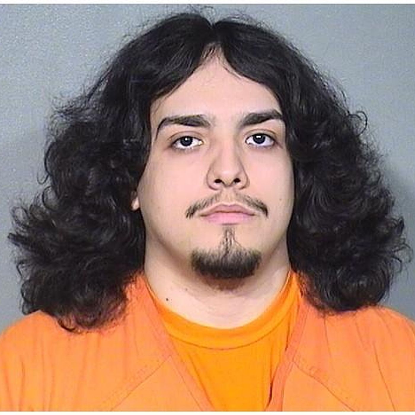 Crystal Lake man paroled in October accused of smashing into, stealing from Smoke Depot episode artwork