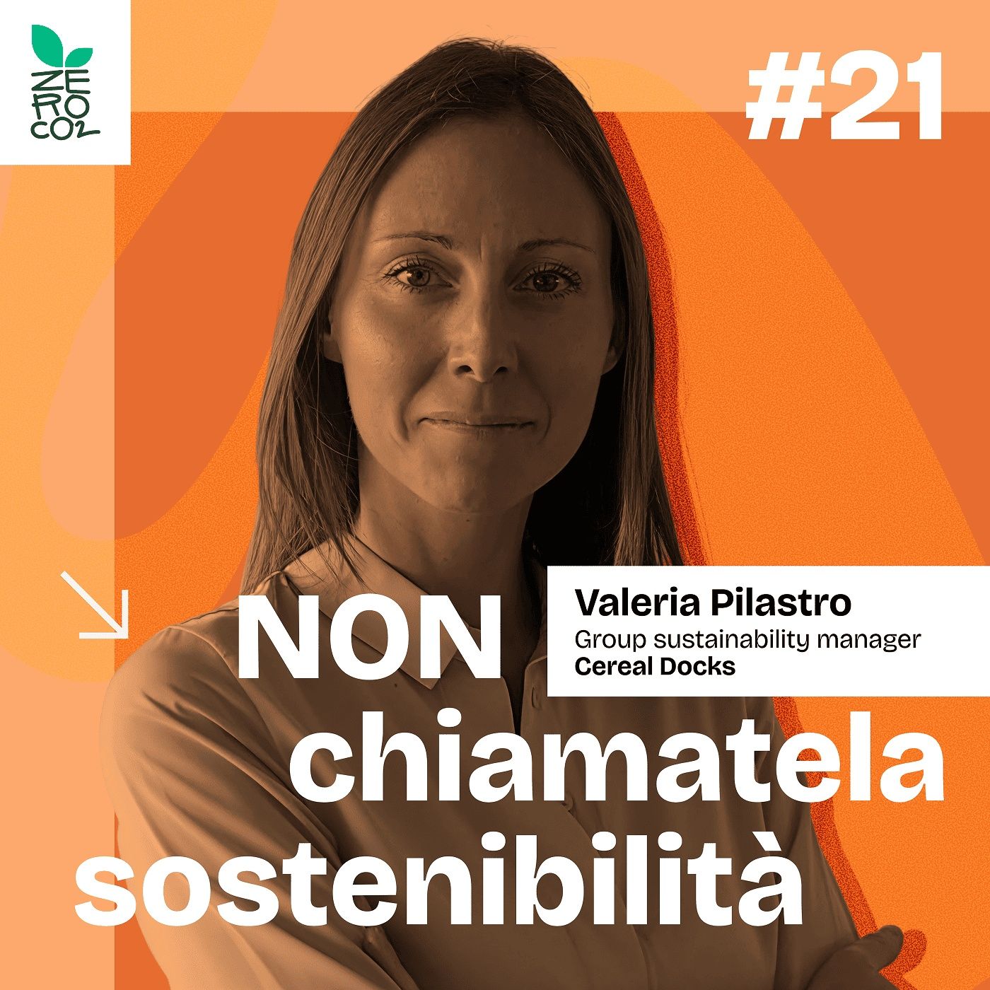 Non chiamatela Sostenibilità