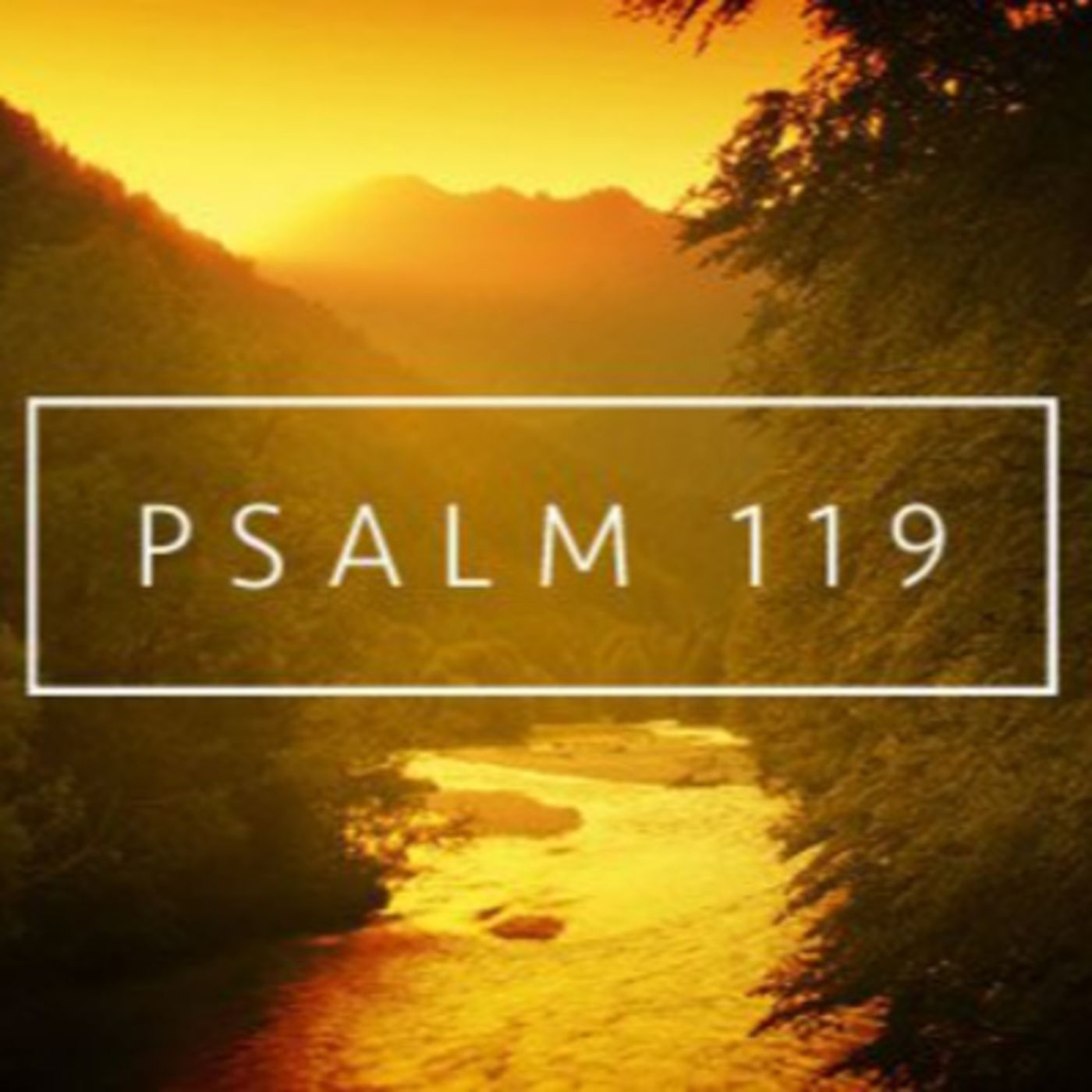 [Sermon] I Trust in Your Word (Psa. 119:41-48) episode artwork