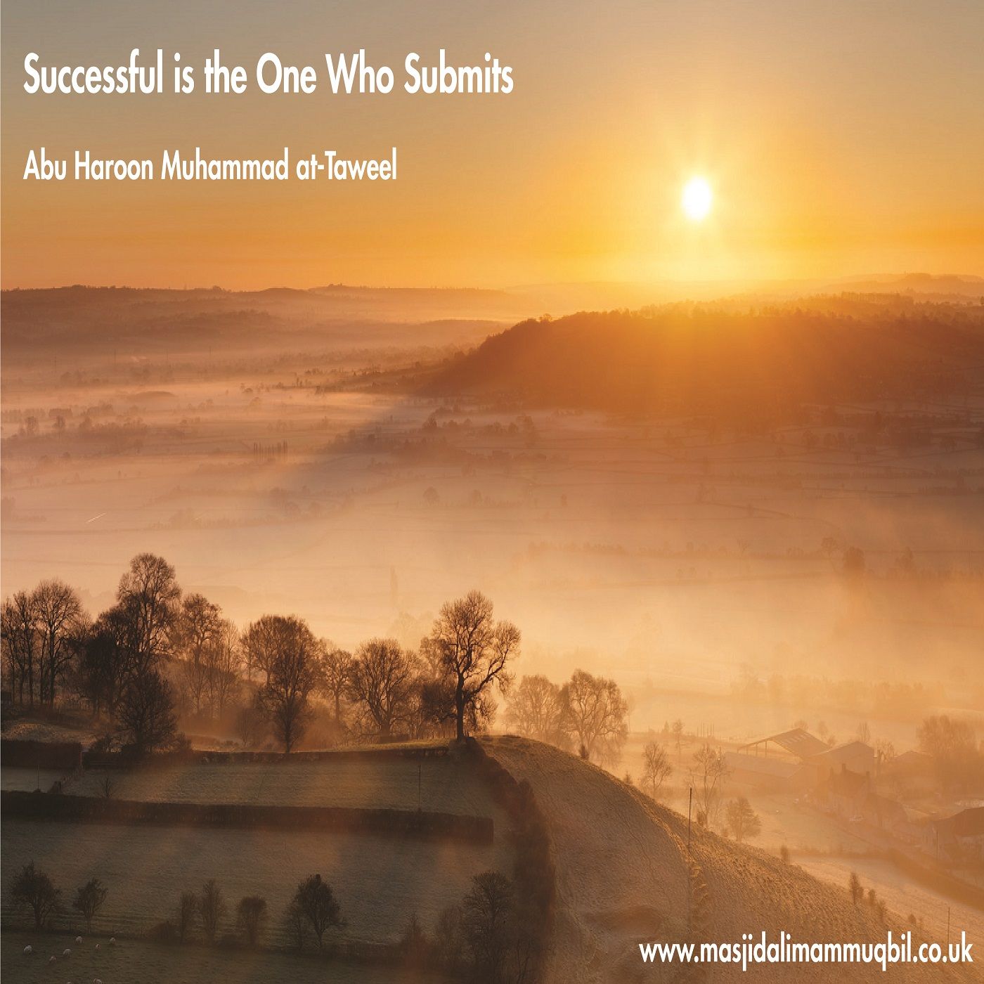 Successful is the One Who Submits | Abu Haroon Muhammad at-Taweel episode artwork