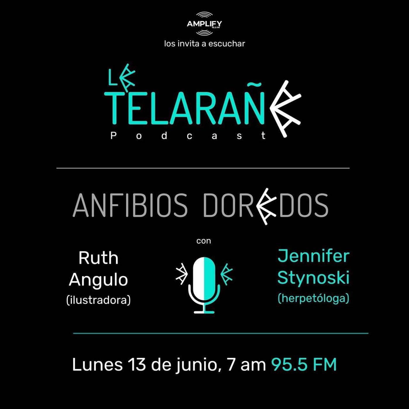 Portada de La Telaraña