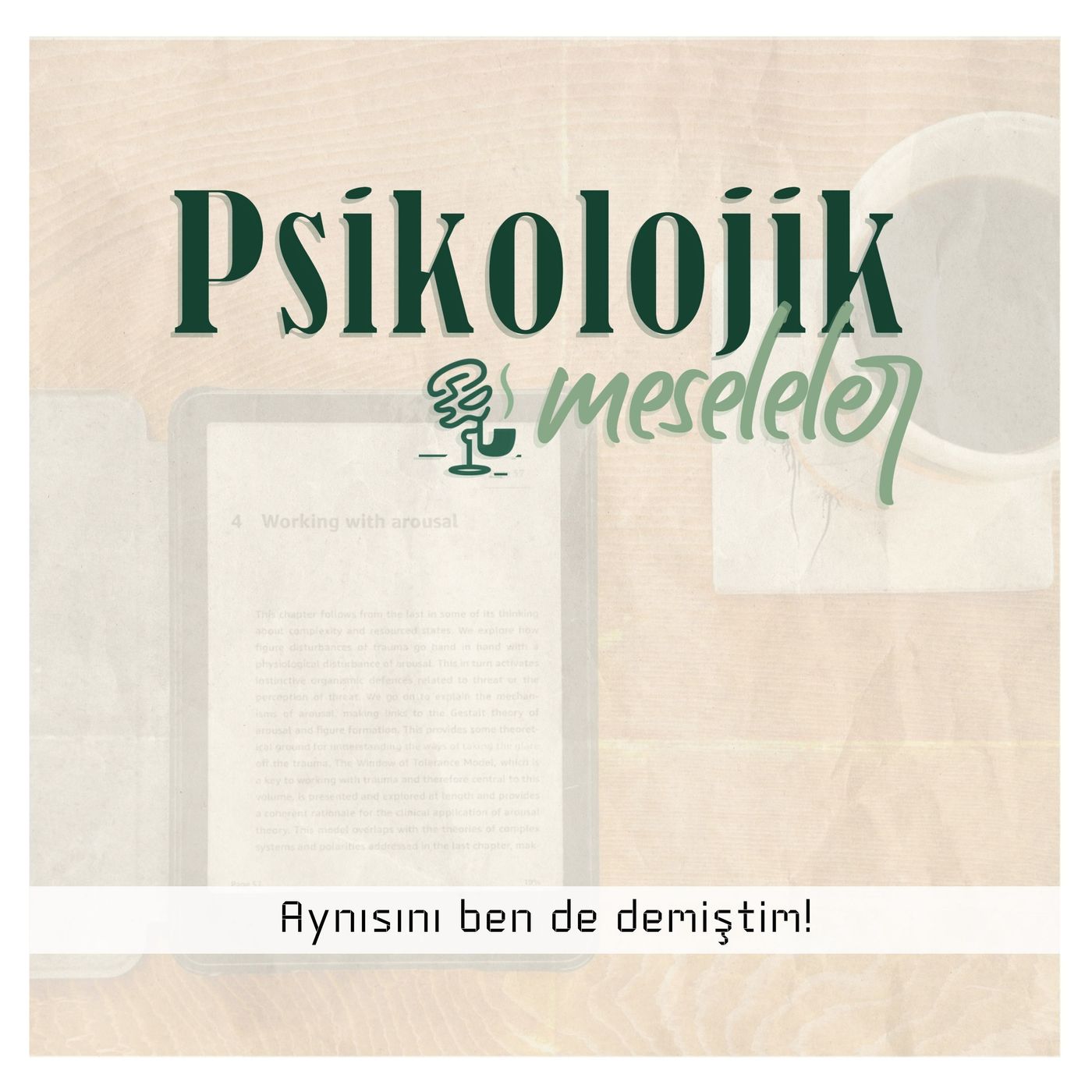Aynısını ben de demiştim! | 115