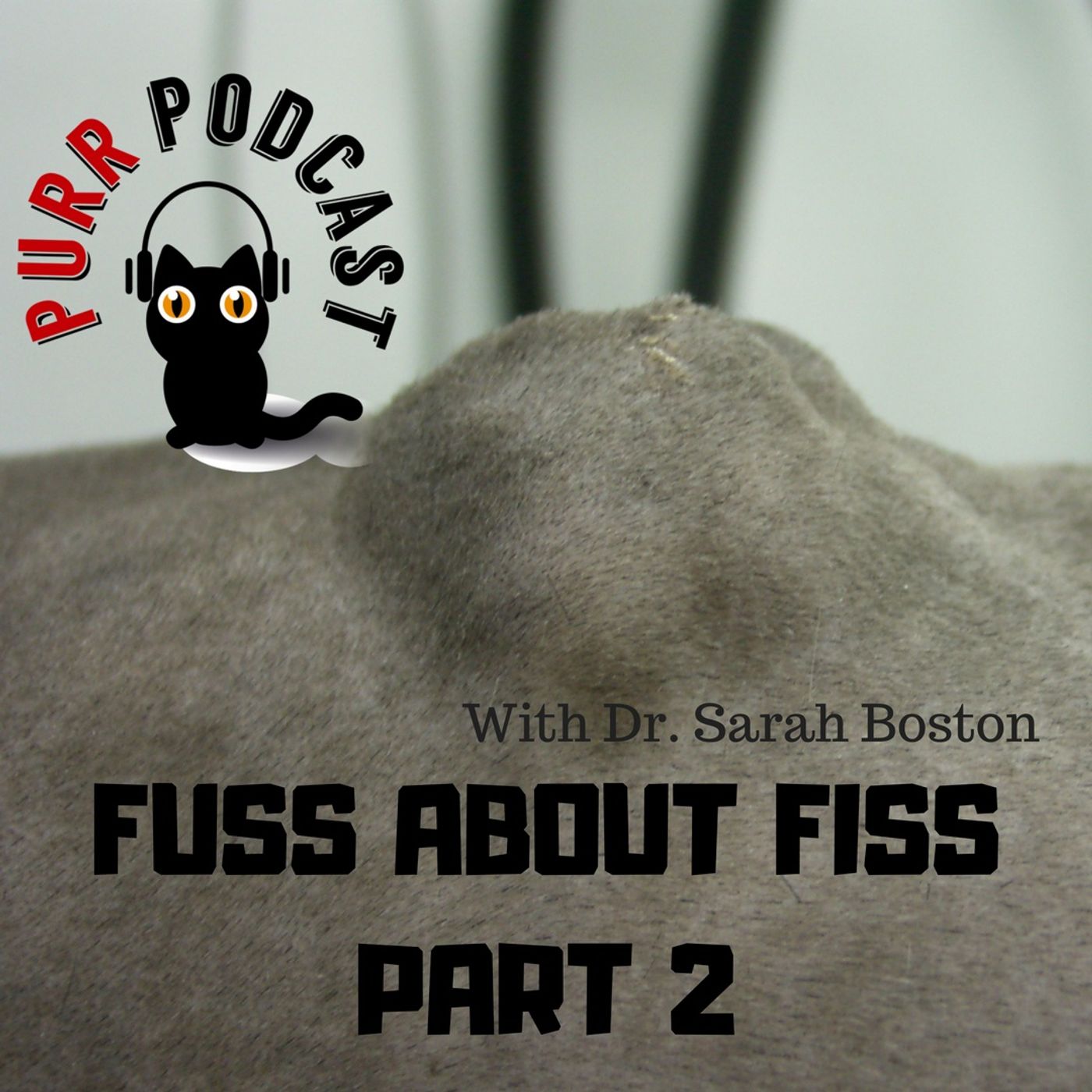 Purr Podcast