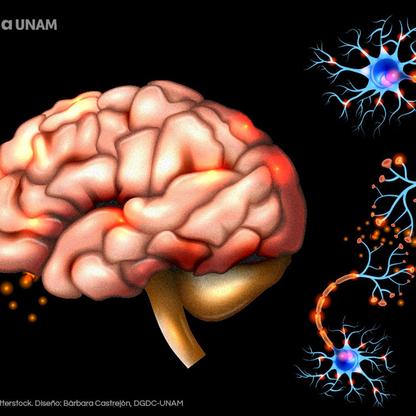 Lo piensan todos. Lo decimos nosotros.
