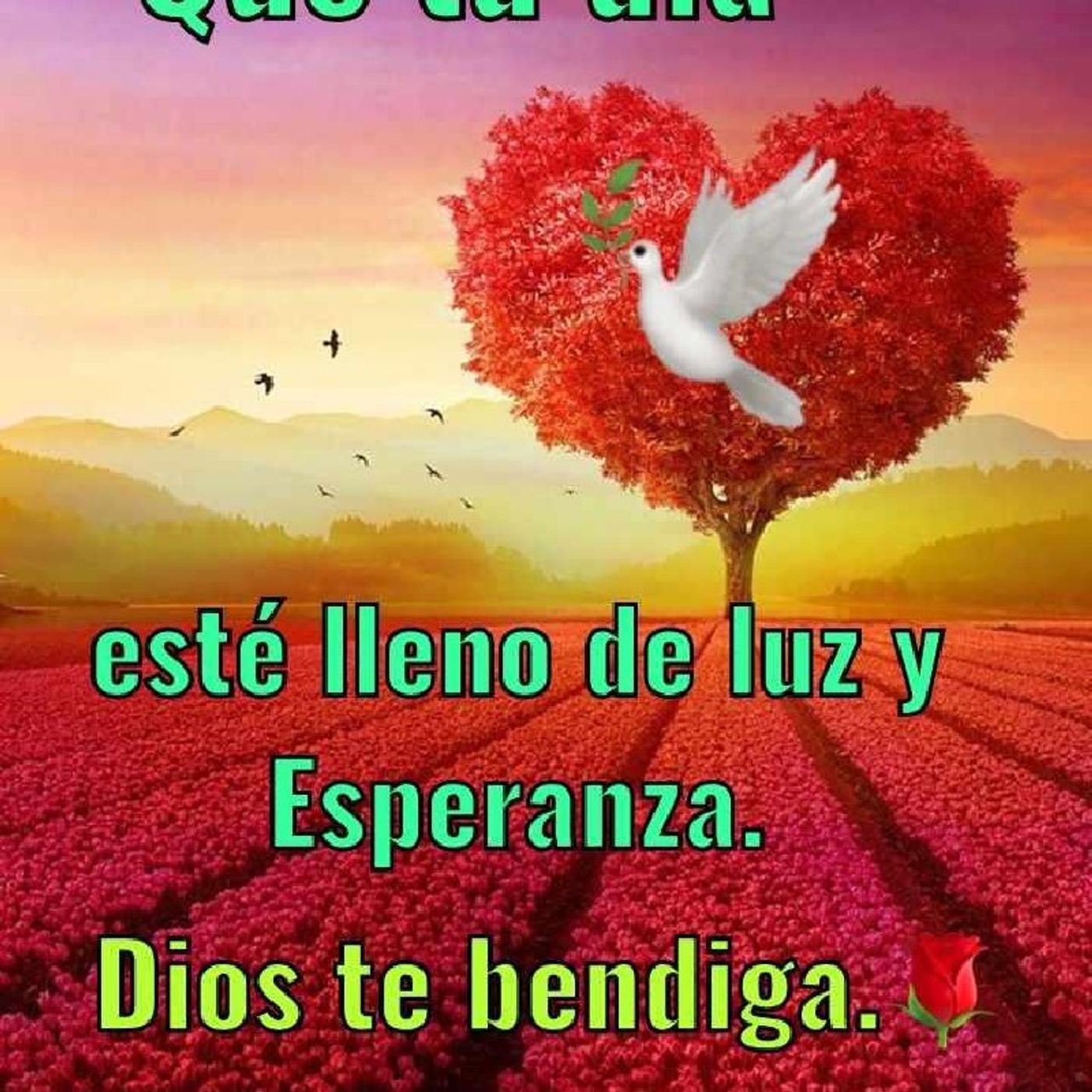 El Poder Del Evangelio de AProCristiano