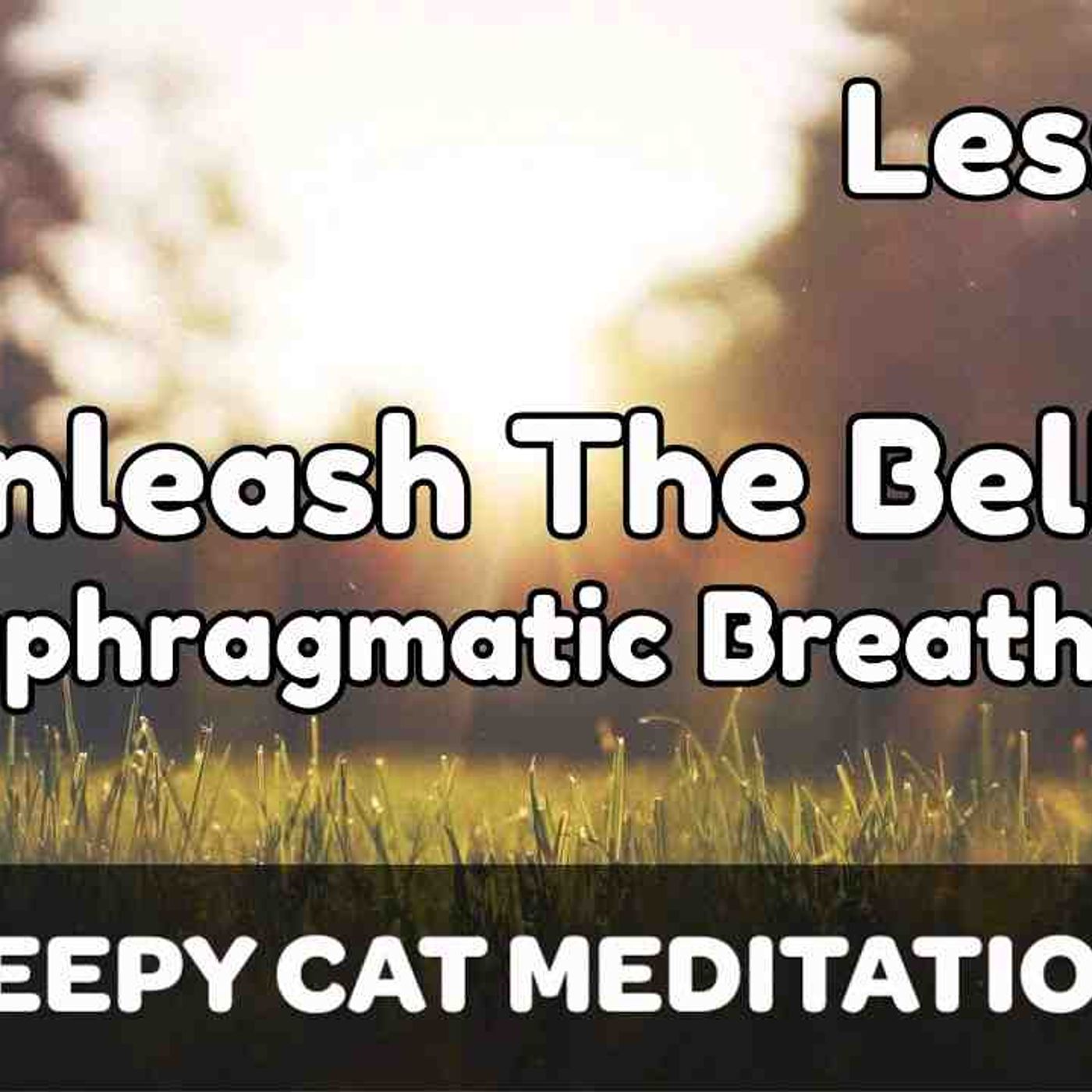 Lesson 5_ Unleashing The Belly With Diaphragmatic Breathing (Beginner Breathwork Course)(MP3_160K) episode artwork