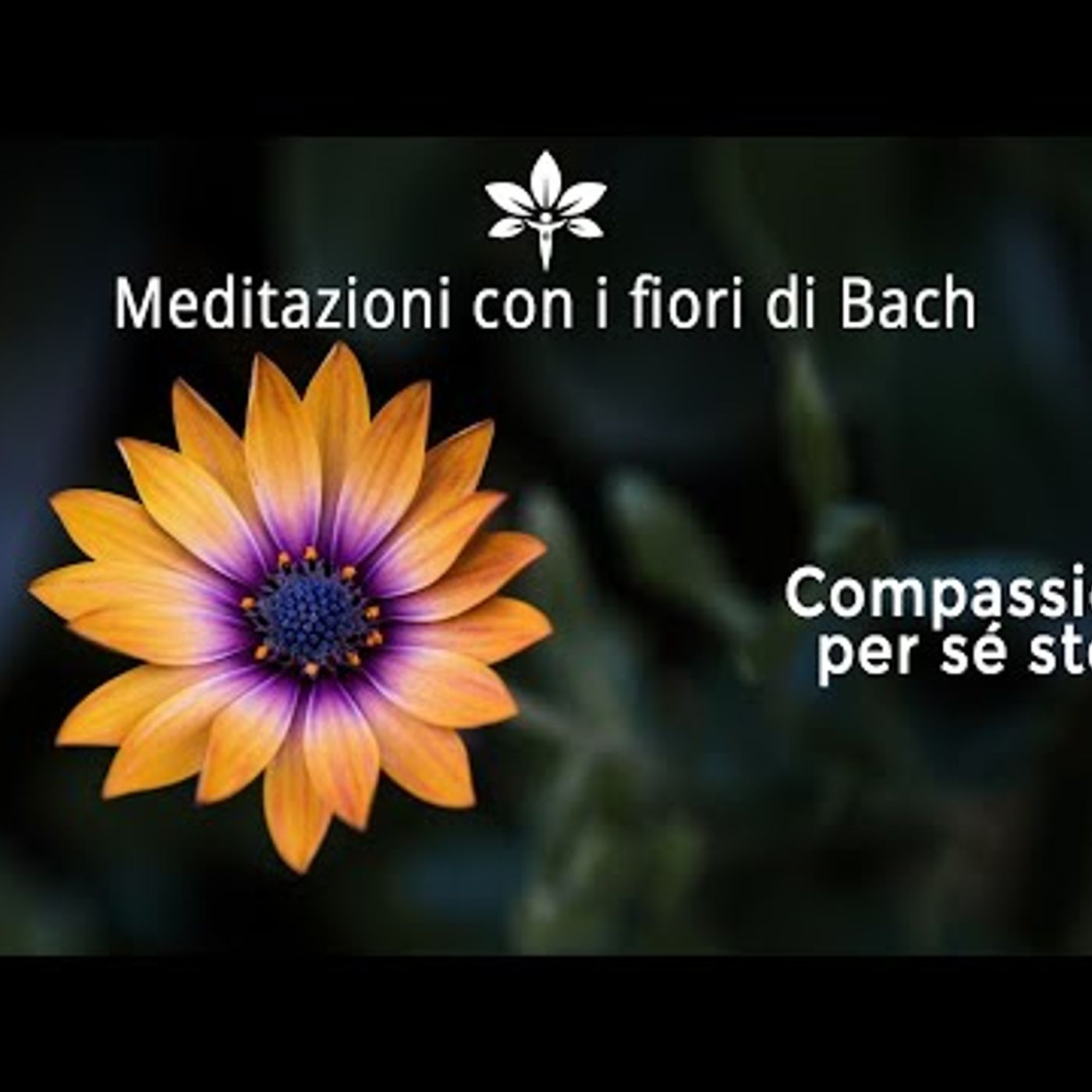 CSP - Meditazione di compassione verso sé stessi CSP - Meditazione di compassione verso sé stessi