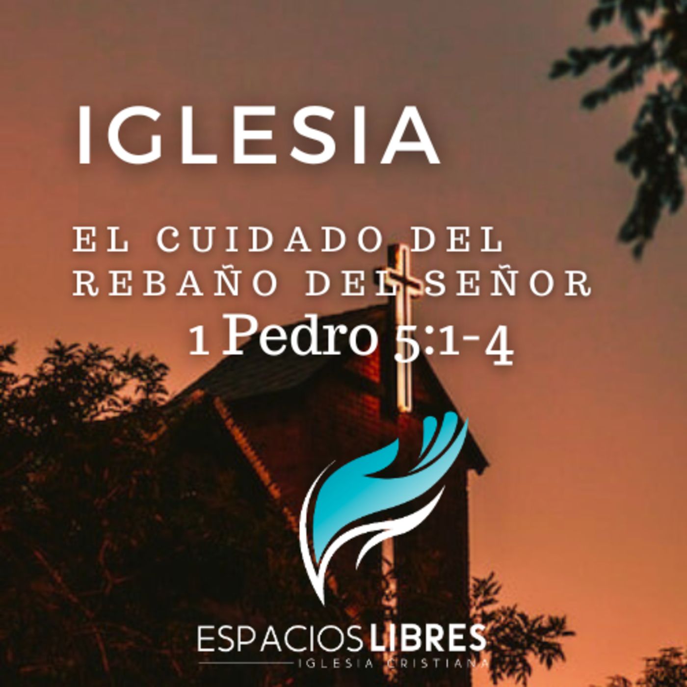 IGLESIA CRISTIANA ESPACIOS LIBRES